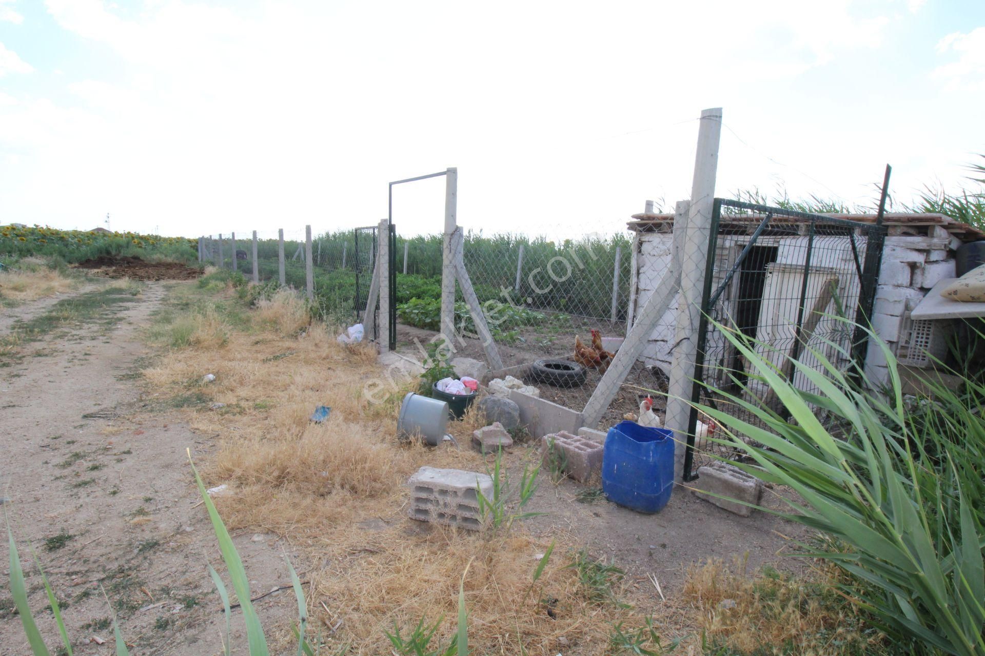 Aksaray Topakkayada Satılık Çiftlik - Görsel 30