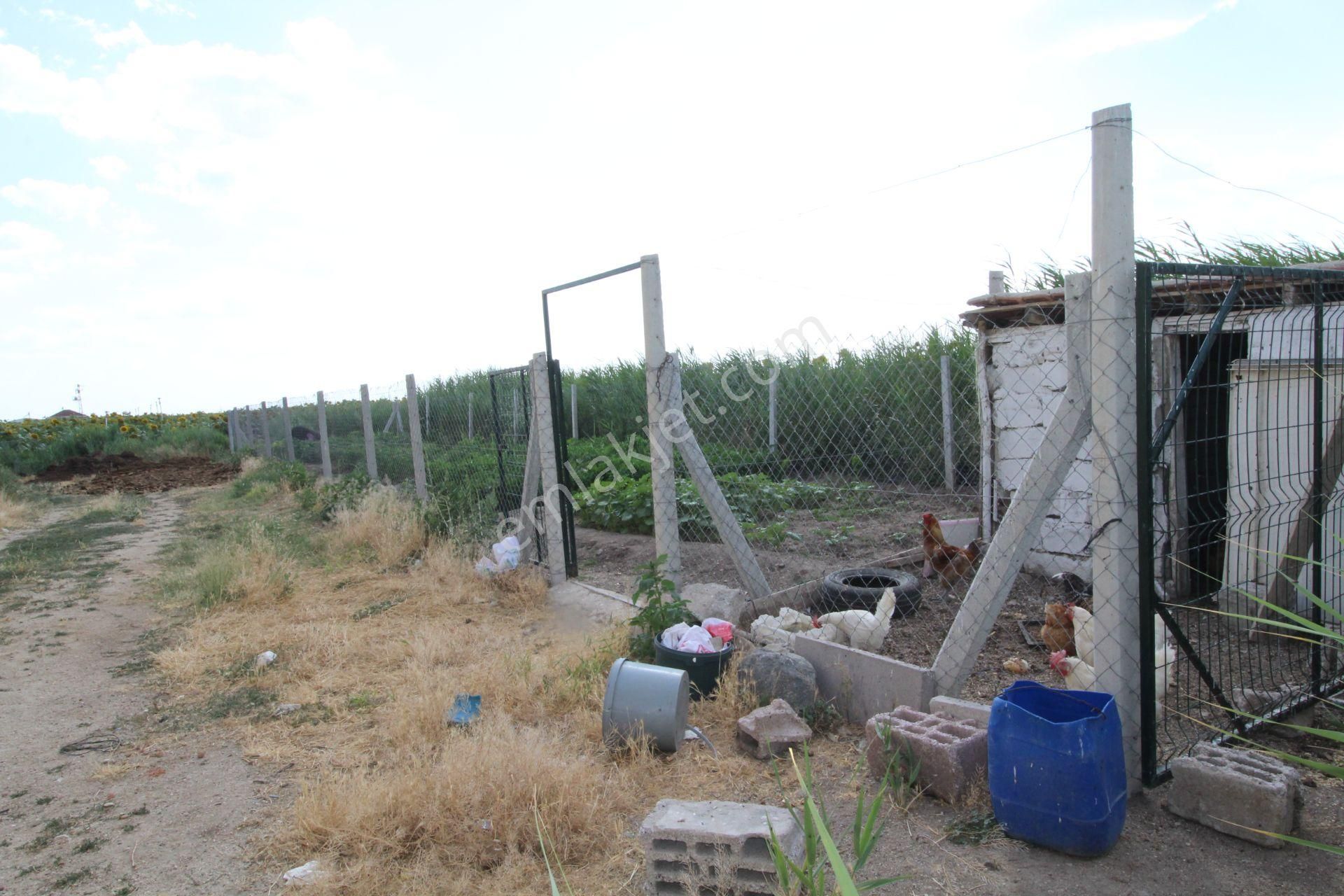 Aksaray Topakkayada Satılık Çiftlik - Görsel 24