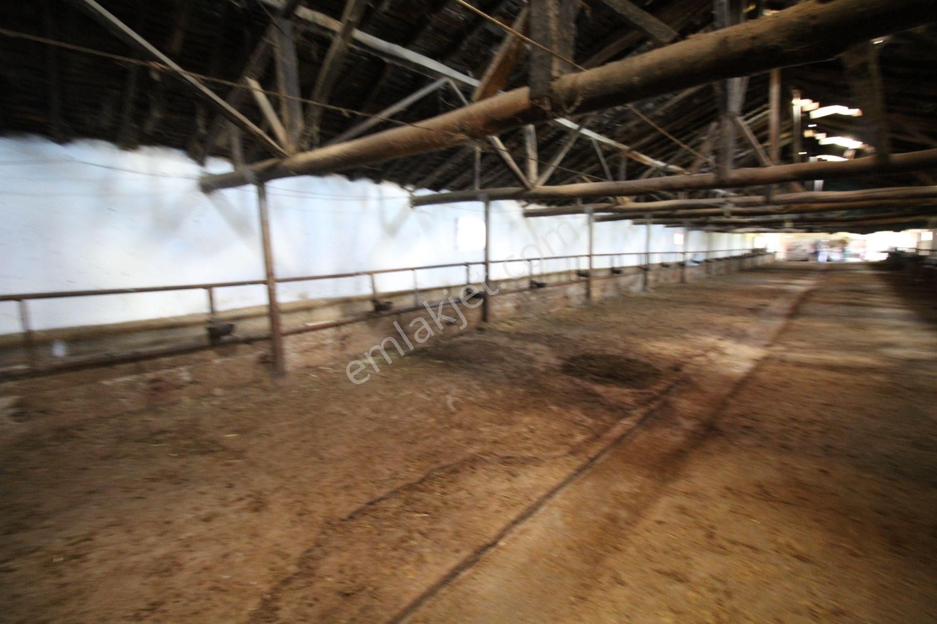 Aksaray Topakkayada Satılık Çiftlik - Görsel 23