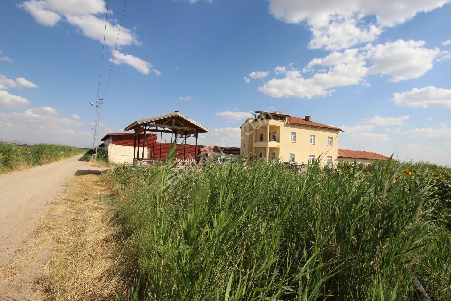 Aksaray Topakkayada Satılık Çiftlik - Görsel 22