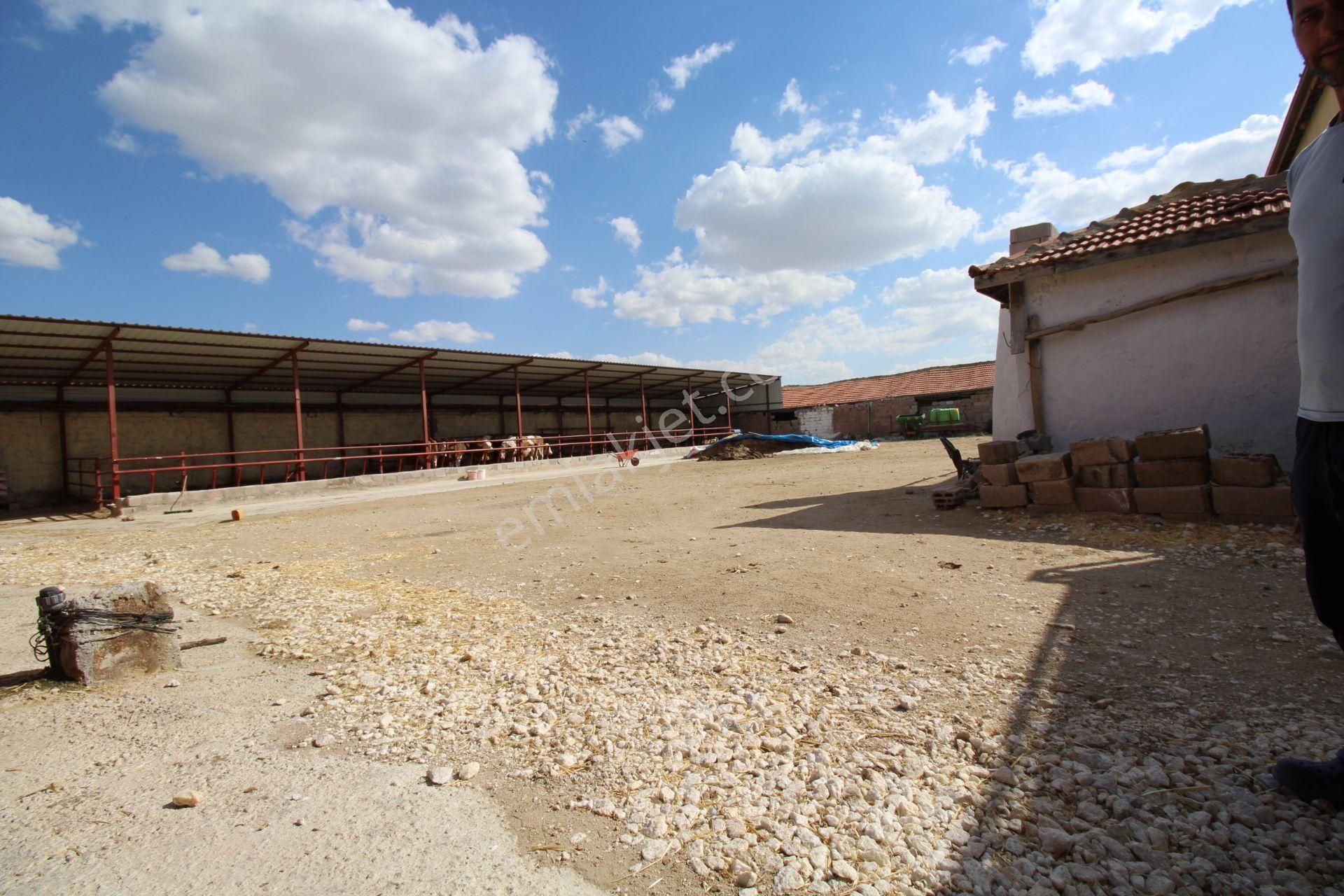 Aksaray Topakkayada Satılık Çiftlik - Görsel 32