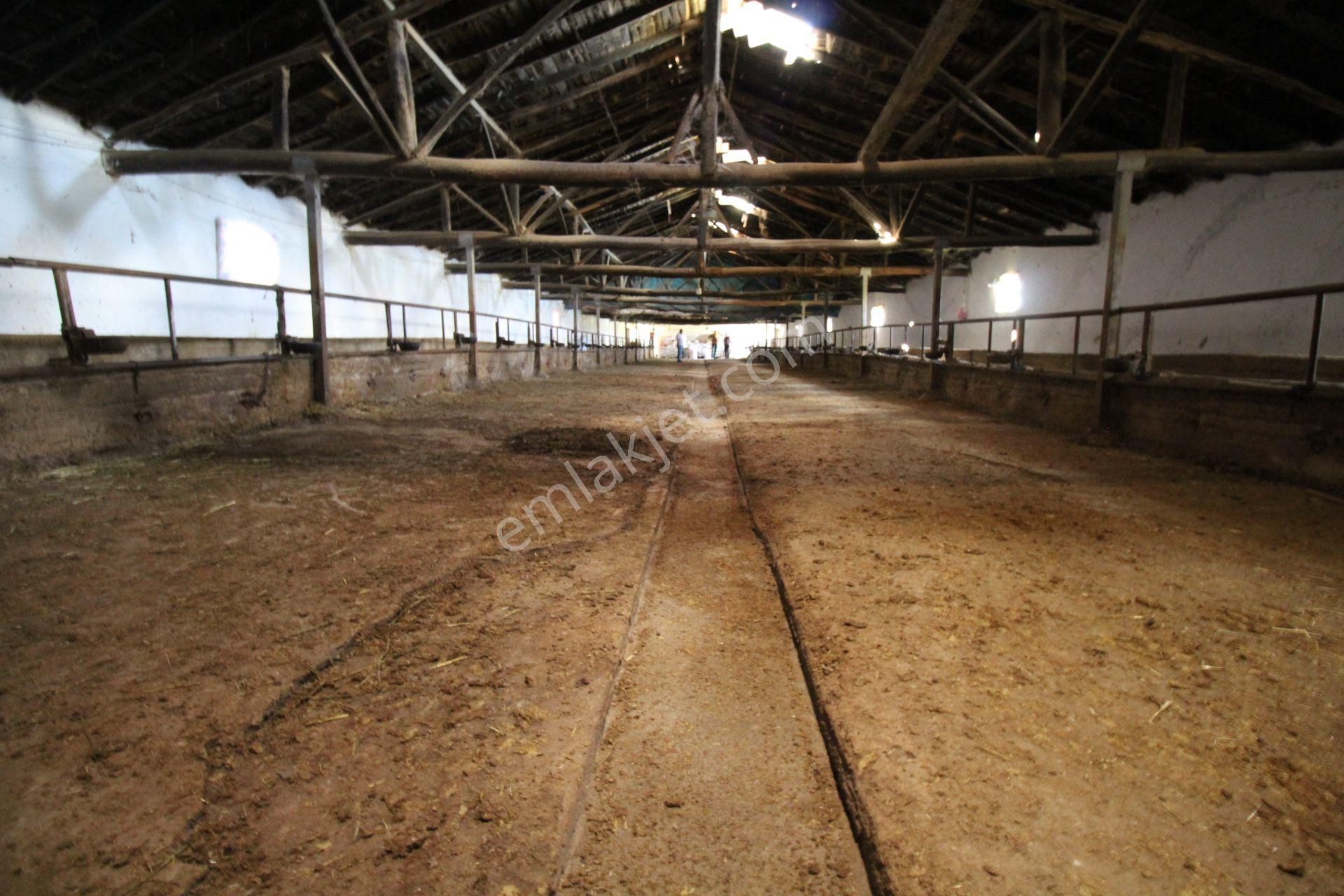 Aksaray Topakkayada Satılık Çiftlik - Görsel 18