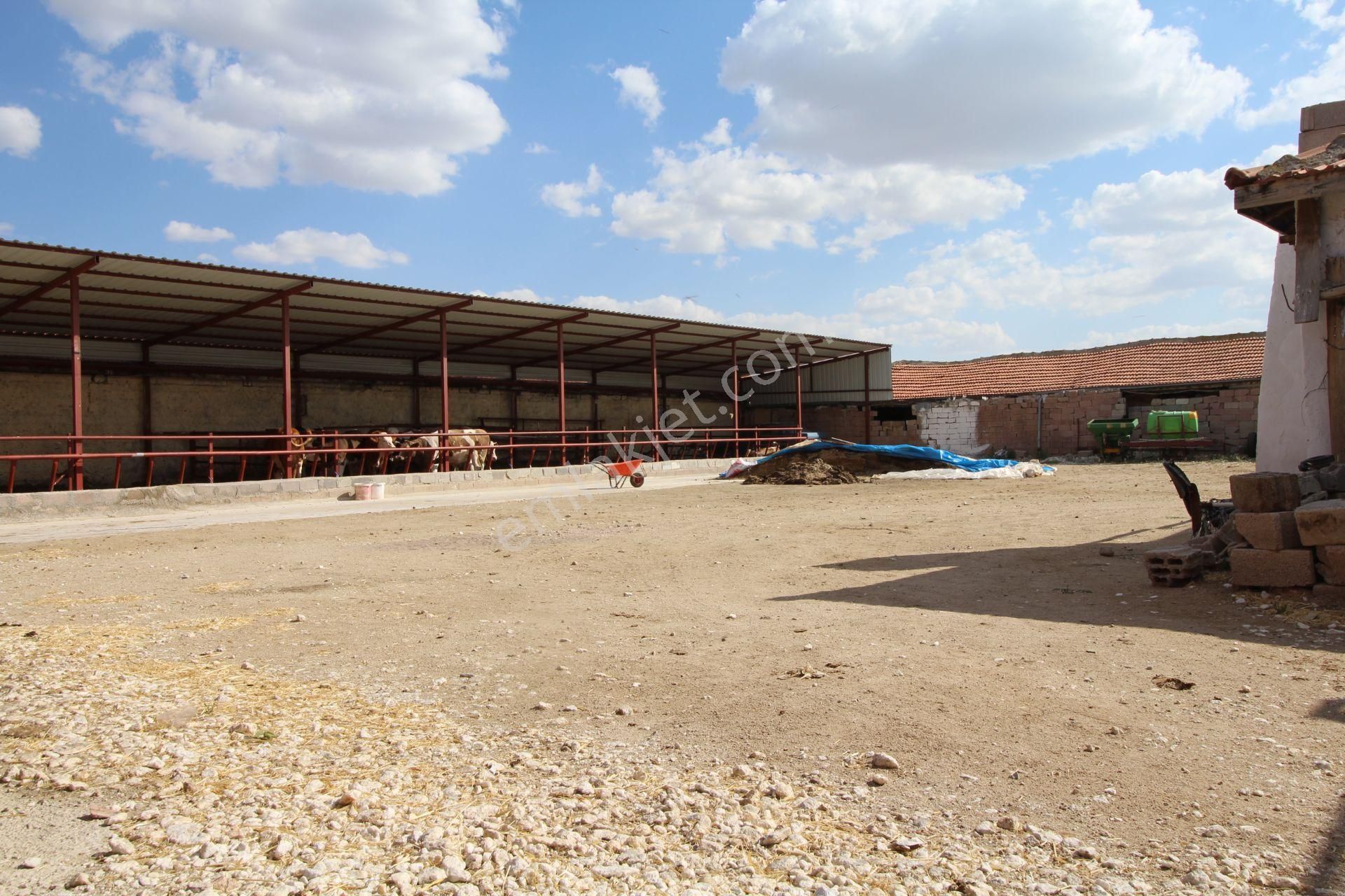 Aksaray Topakkayada Satılık Çiftlik - Görsel 31