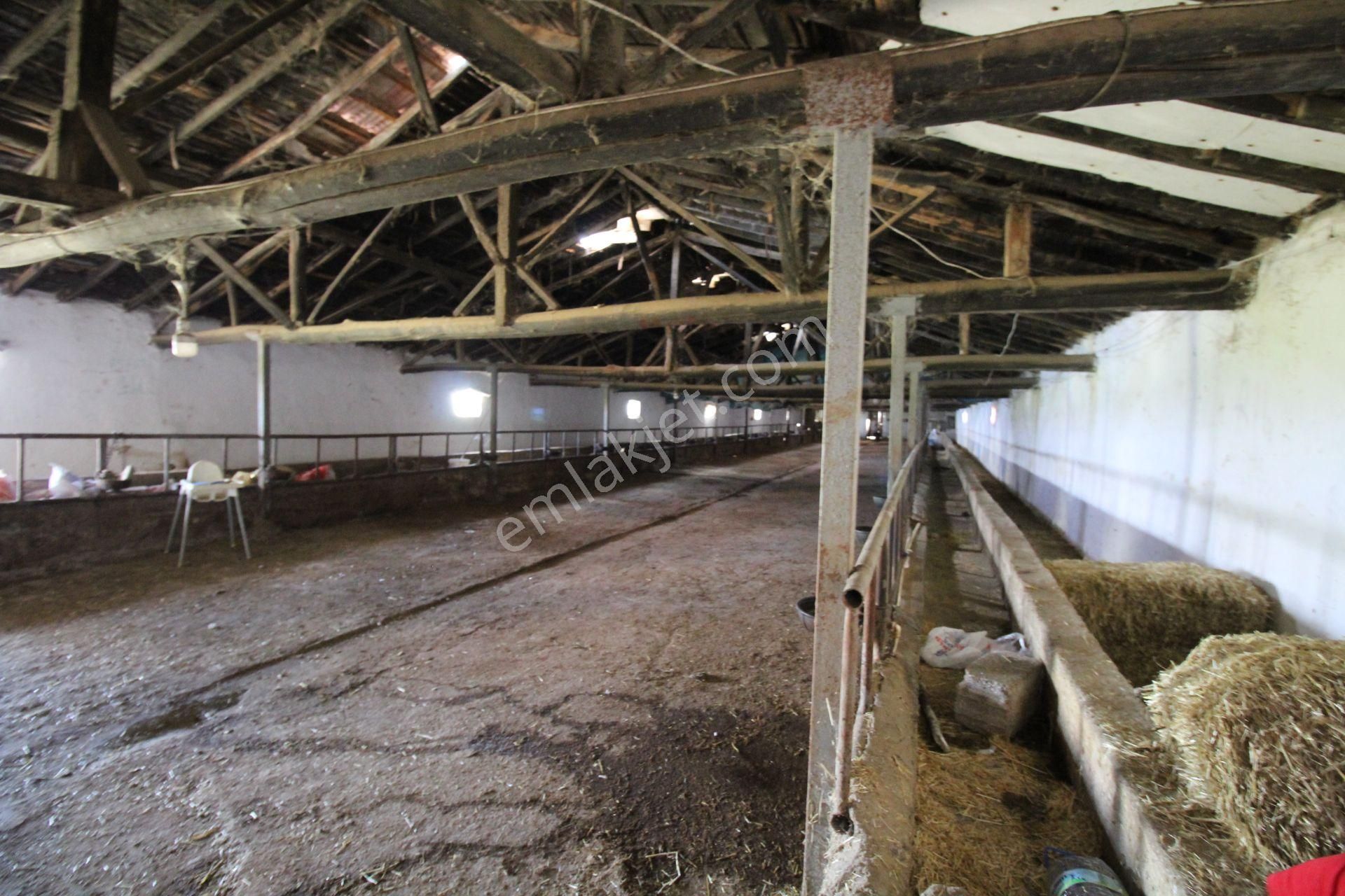 Aksaray Topakkayada Satılık Çiftlik - Görsel 34