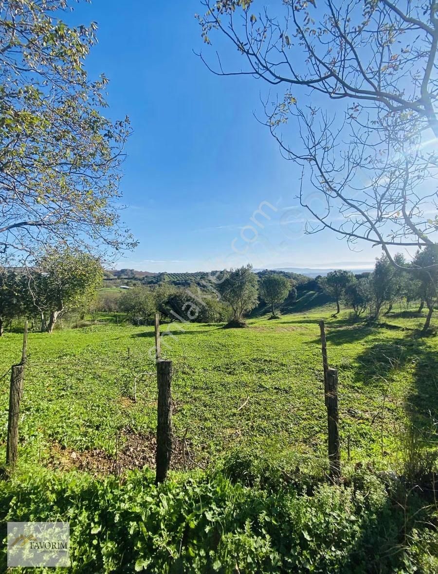 Kulakpınar Da Harika Arsa - Görsel 2