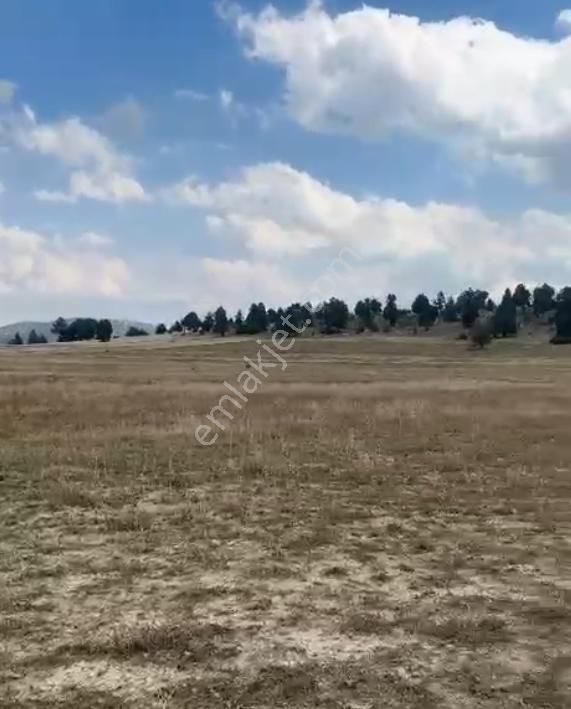 Bu Bölgede; Bu Metrekarede Ve Bu Fiyata Daha İyisi Yok! - Görsel 4