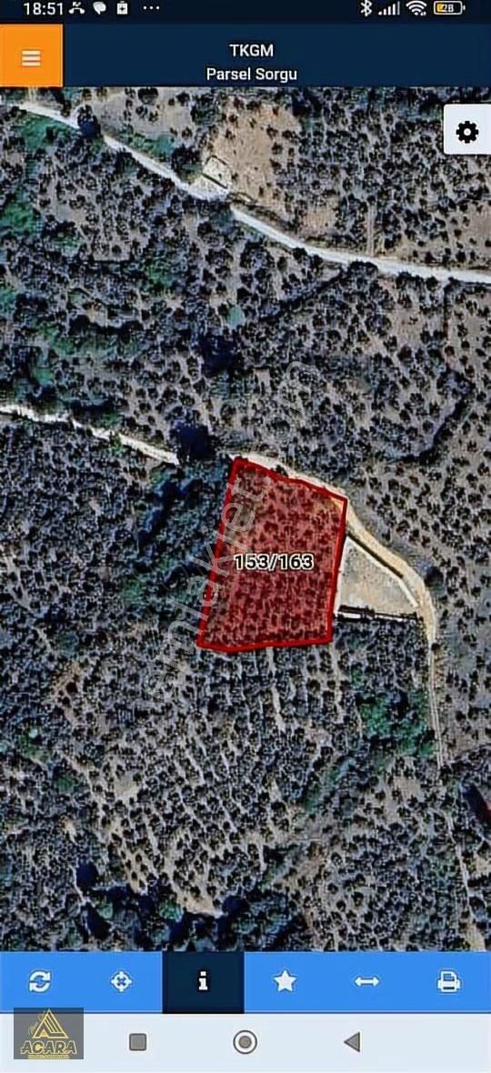 Acaradan Satılık Full İznik Gölü Manzarali Zeytin Bahcesi - Görsel 9