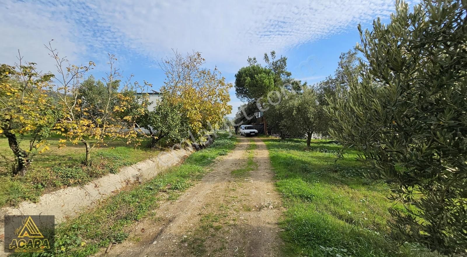 Acara'dan Orhangazi Üreğil'de 6.567m² Tarla Vasfında Zeytinlik - Görsel 30