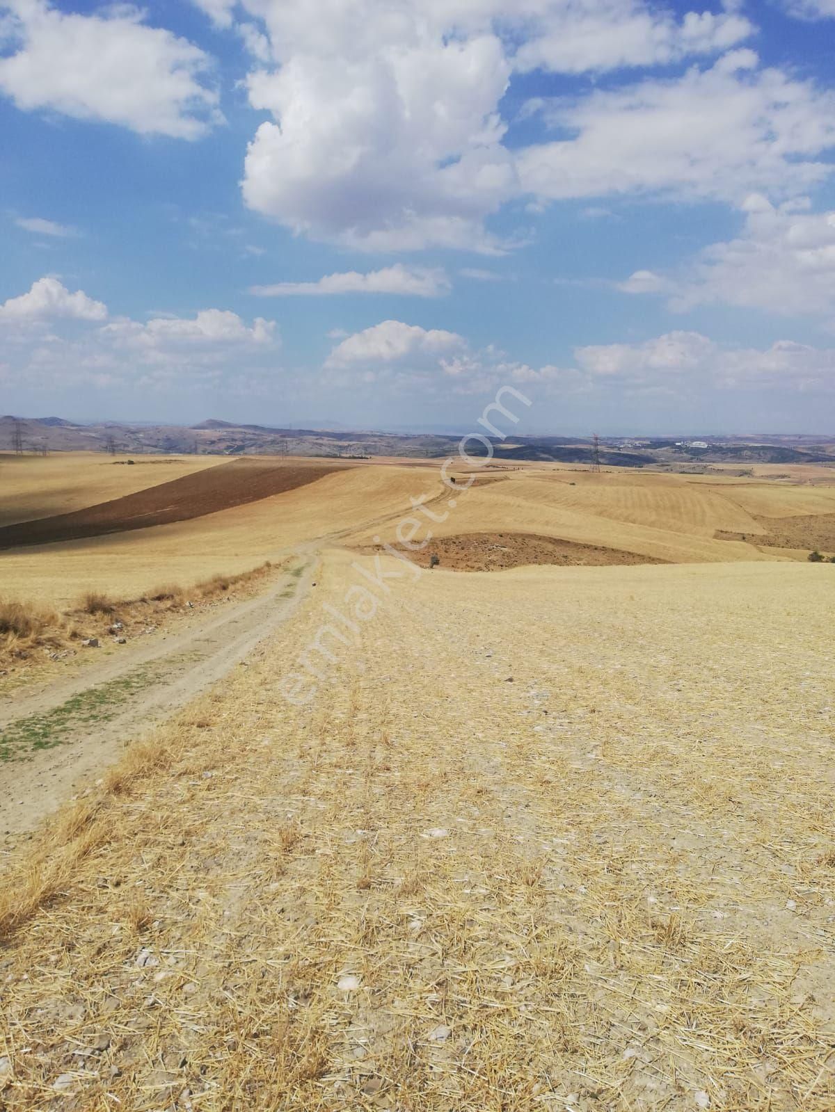 Karapazar Da Satılık Tam Parsel - Görsel 3