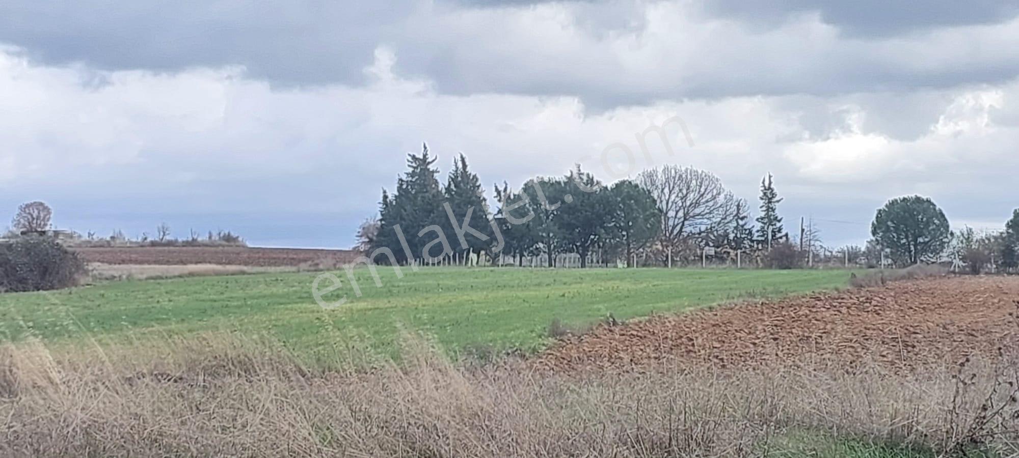 Kırklareli/merkez Pınar Mahallesi Satılık Bağ&bahçe Yeri