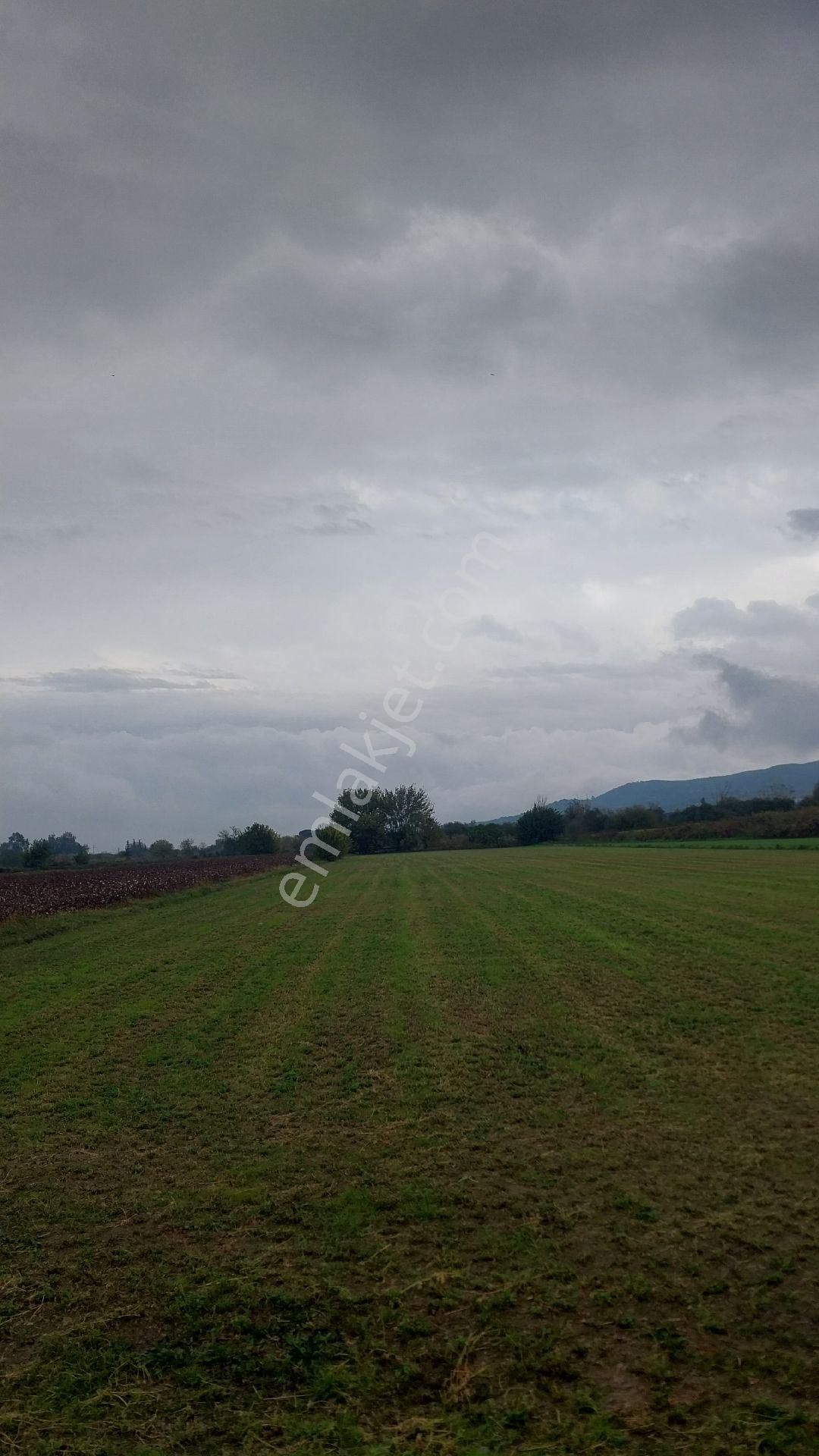 Aydın Efeler Baltaköyde Satılık Tarlayeni Garaja Yakın Konumda - Görsel 33