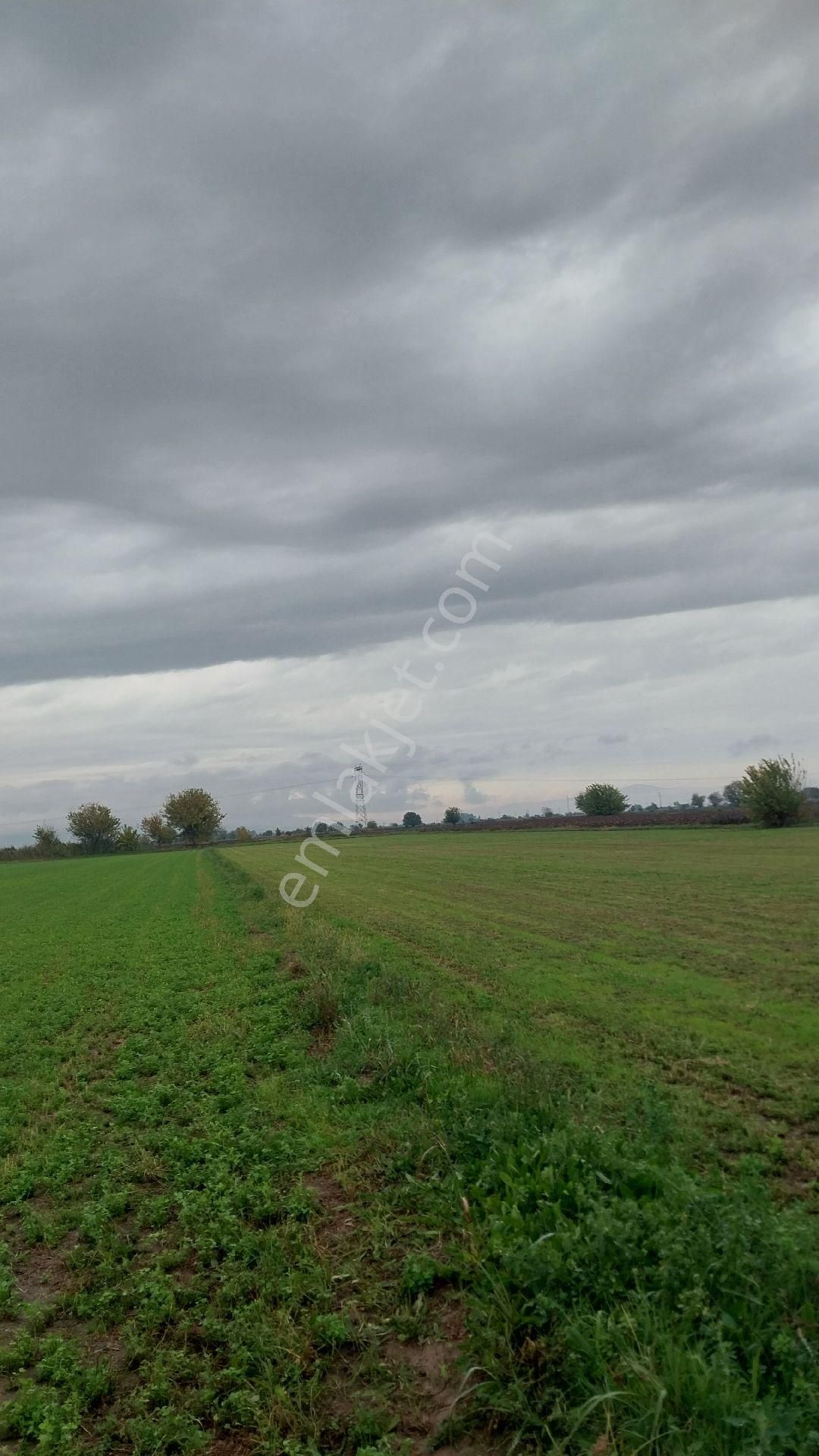 Aydın Efeler Baltaköyde Satılık Tarlayeni Garaja Yakın Konumda - Görsel 10