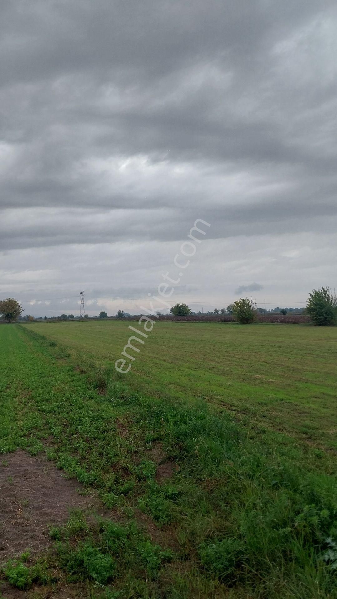 Aydın Efeler Baltaköyde Satılık Tarlayeni Garaja Yakın Konumda - Görsel 8