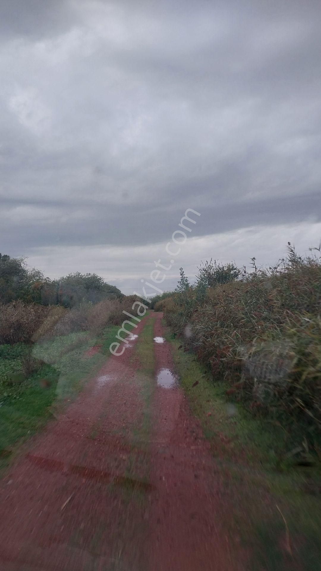 Aydın Efeler Baltaköyde Satılık Tarlayeni Garaja Yakın Konumda - Görsel 30