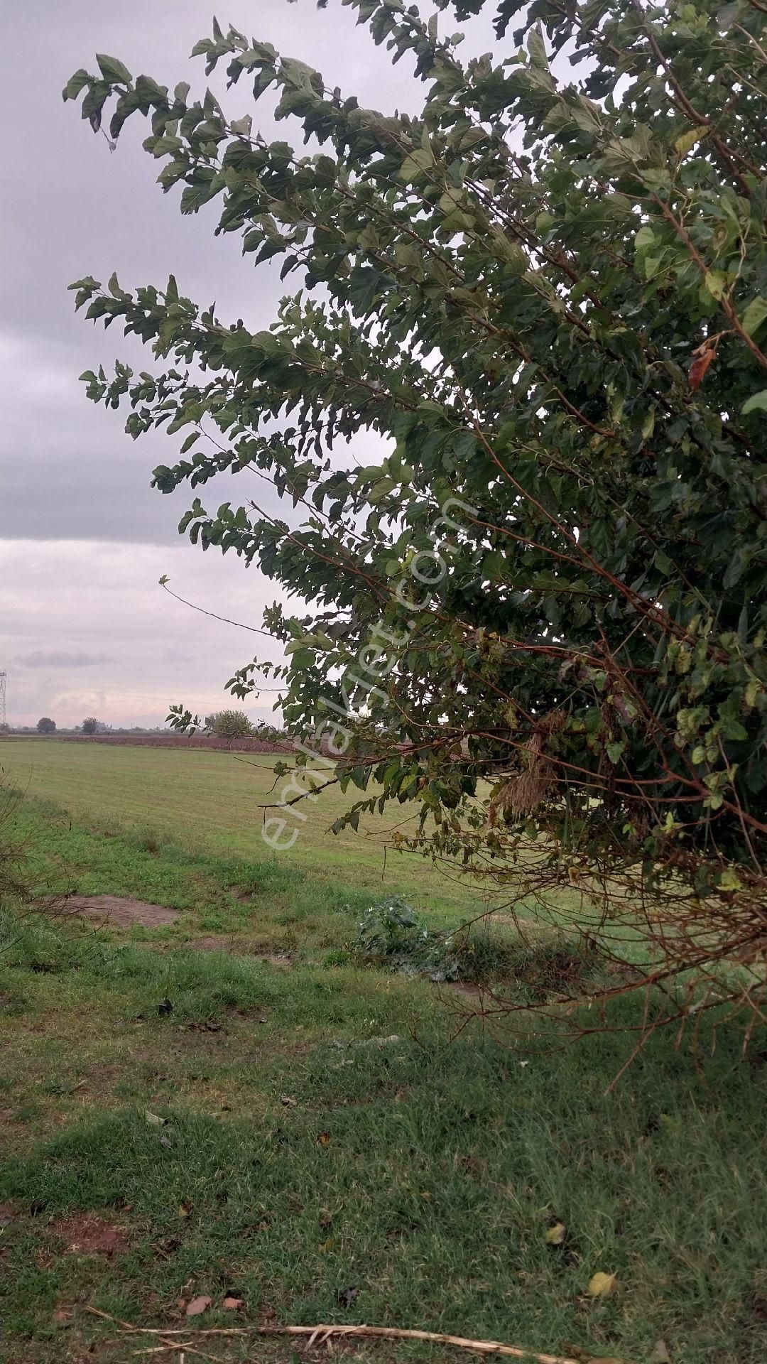 Aydın Efeler Baltaköyde Satılık Tarlayeni Garaja Yakın Konumda - Görsel 24