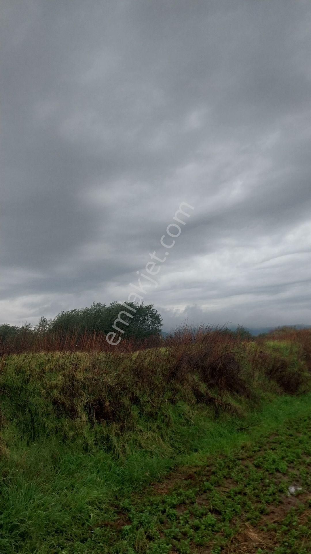 Aydın Efeler Baltaköyde Satılık Tarlayeni Garaja Yakın Konumda - Görsel 11