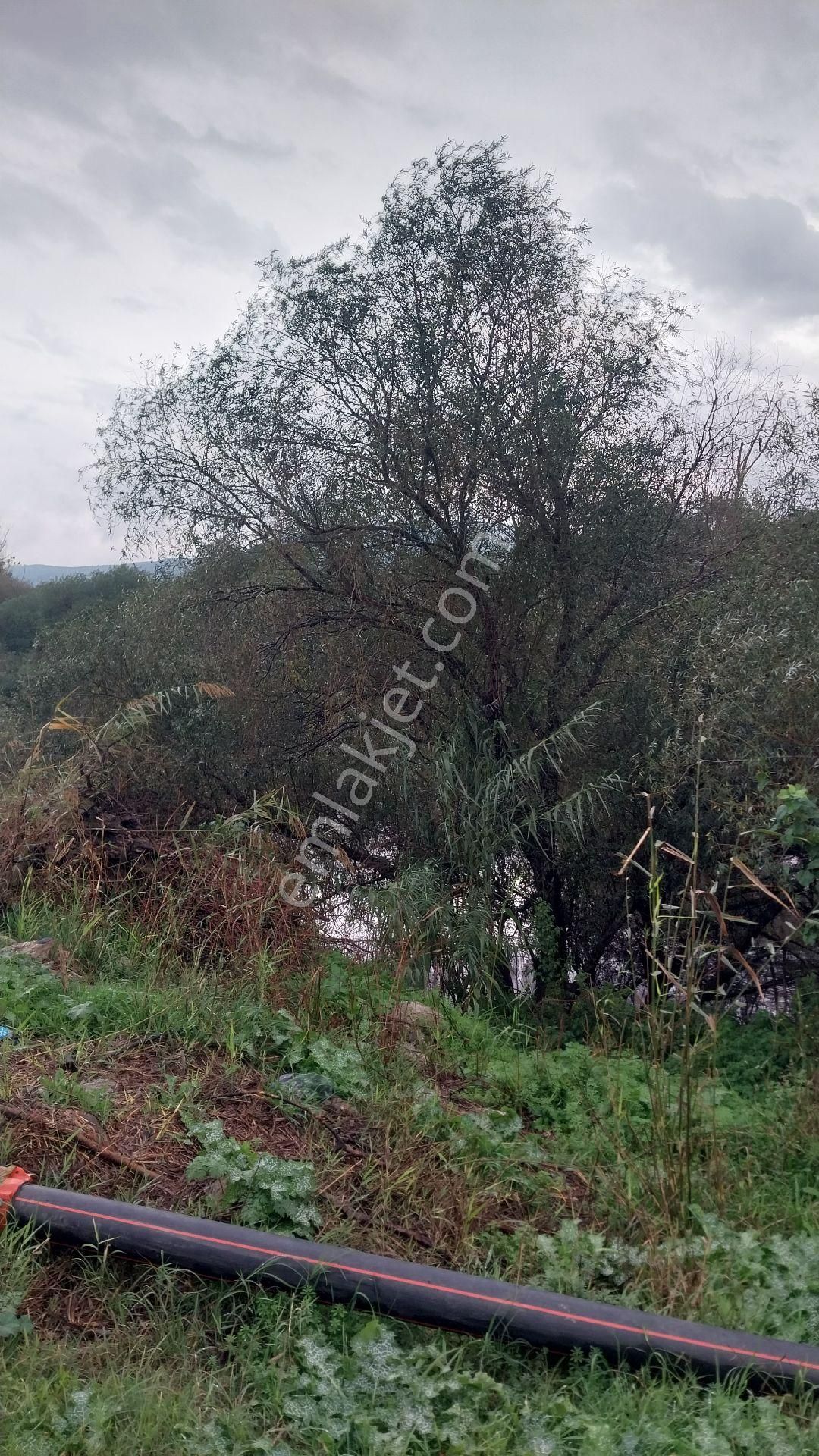 Aydın Efeler Baltaköyde Satılık Tarlayeni Garaja Yakın Konumda - Görsel 16