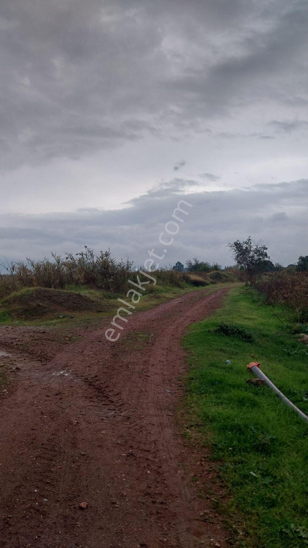 Aydın Efeler Baltaköyde Satılık Tarlayeni Garaja Yakın Konumda - Görsel 23