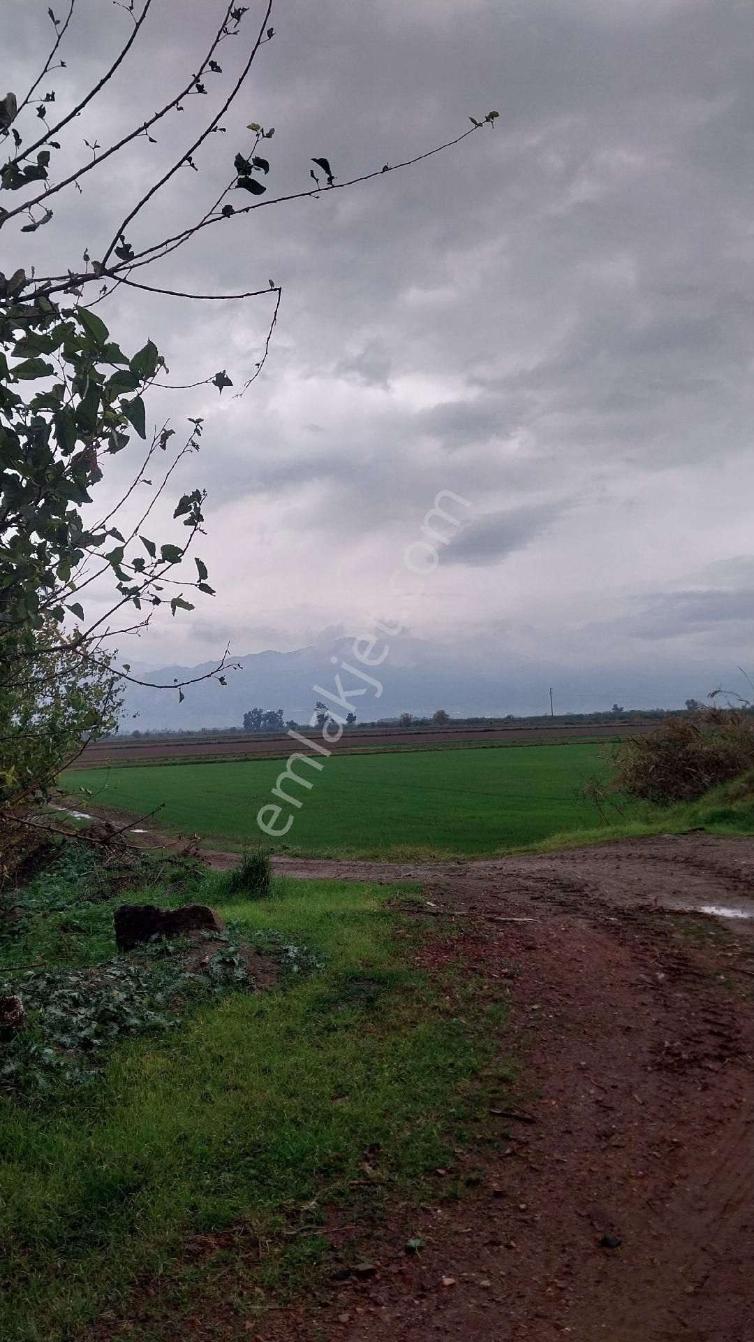 Aydın Efeler Baltaköyde Satılık Tarlayeni Garaja Yakın Konumda - Görsel 26