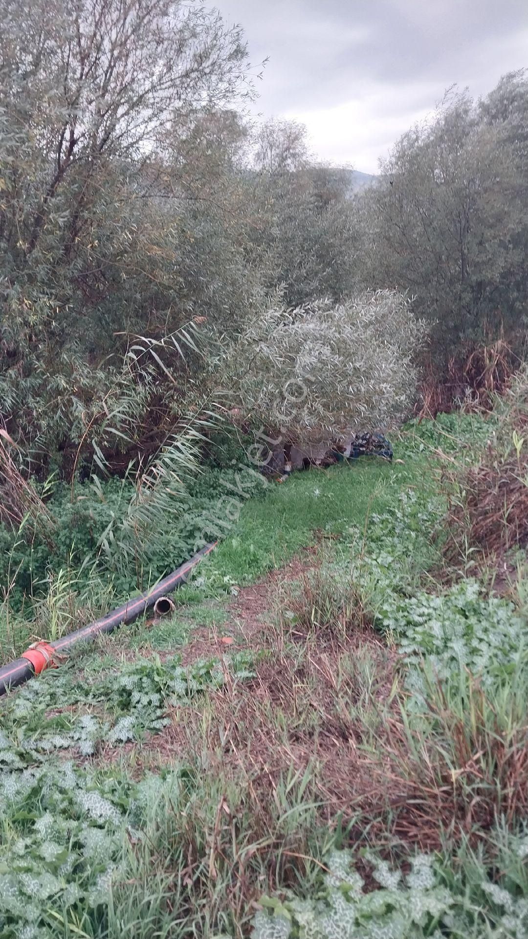 Aydın Efeler Baltaköyde Satılık Tarlayeni Garaja Yakın Konumda - Görsel 27