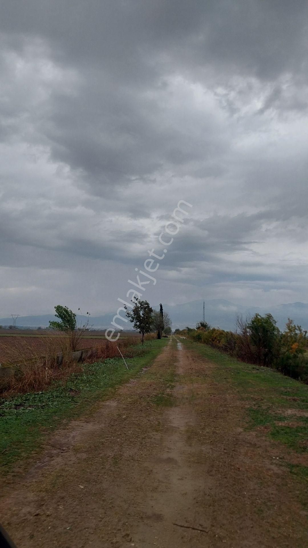 Aydın Efeler Baltaköyde Satılık Tarlayeni Garaja Yakın Konumda - Görsel 4
