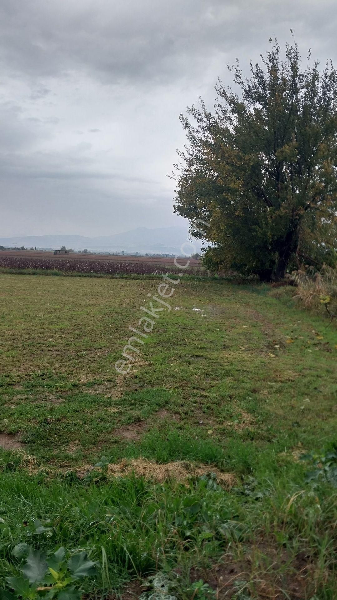 Aydın Efeler Baltaköyde Satılık Tarlayeni Garaja Yakın Konumda - Görsel 6