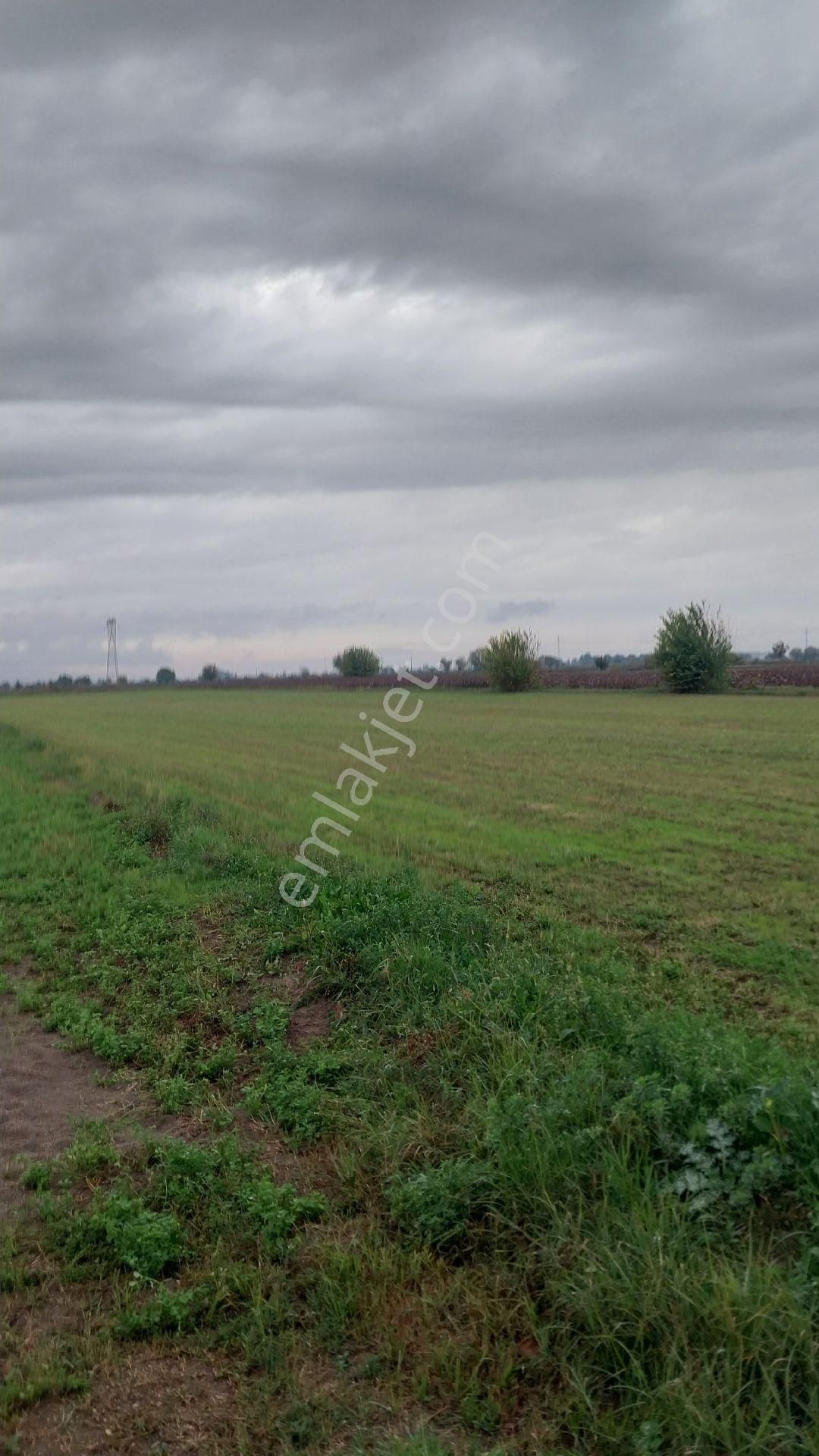 Aydın Efeler Baltaköyde Satılık Tarlayeni Garaja Yakın Konumda - Görsel 7