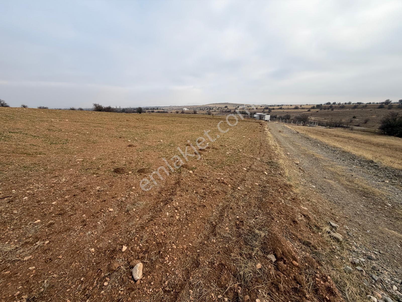 Mevsim Gayrimenkulden Kalkantepede Resmi Yolu Olan Satılık Tarla - Görsel 3