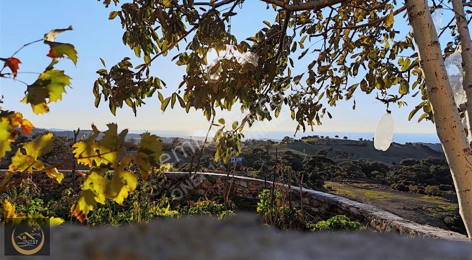 Çanakkale Ayvacık Kösedere Köyünde Satılık Müstakil Ev - Görsel 10