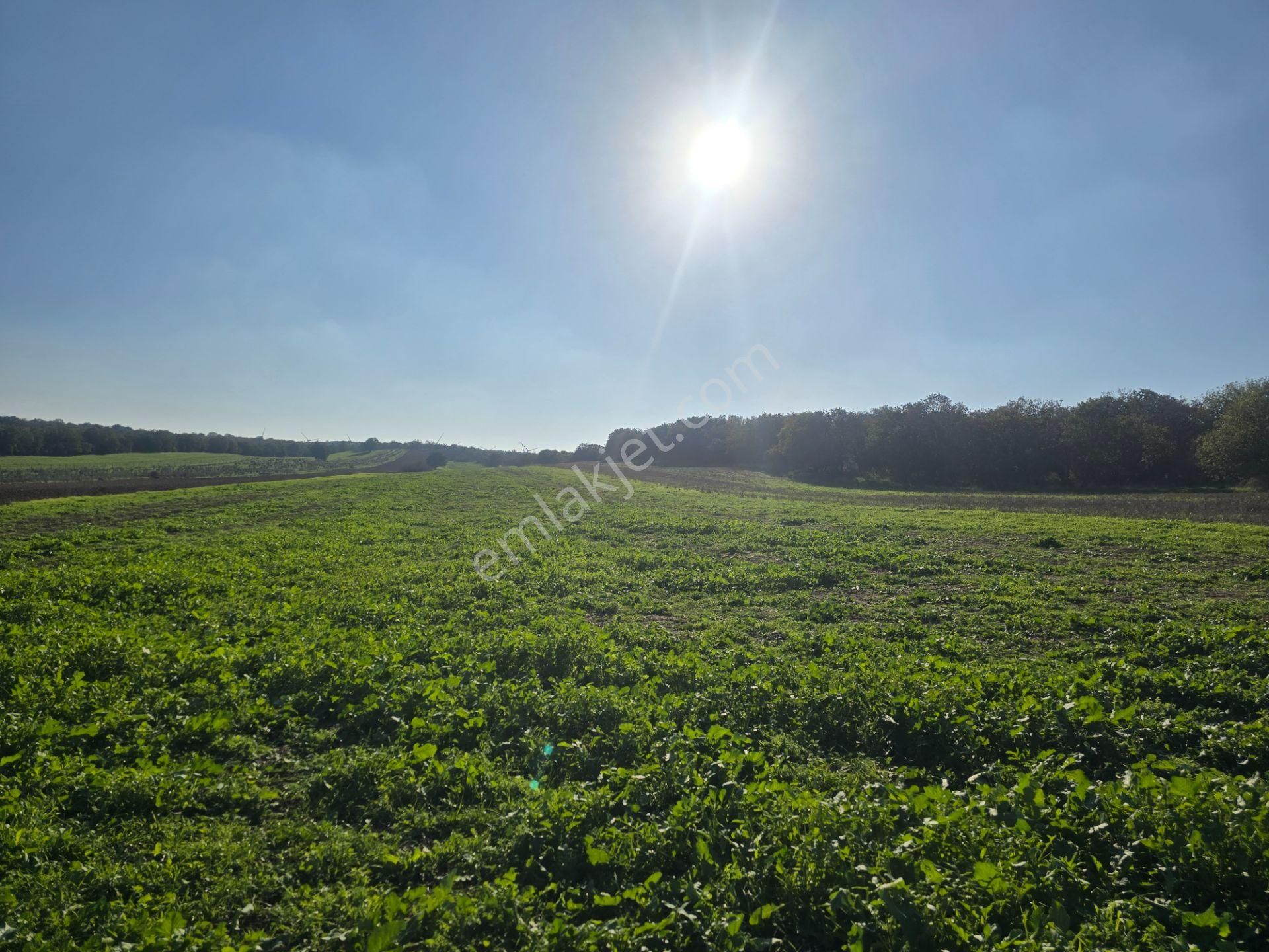 Han Emlak Otomotiv'den Ezine Mahmudiye Köyünde 11800 M2 Tarla - Görsel 3