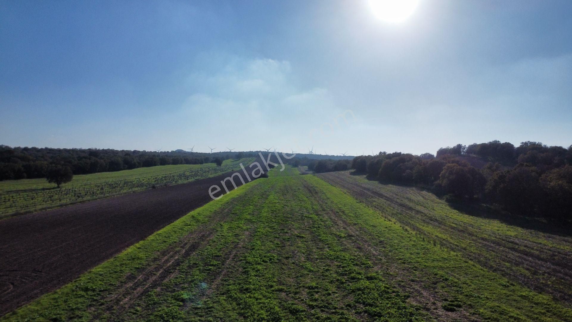 Han Emlak Otomotiv'den Ezine Mahmudiye Köyünde 11800 M2 Tarla - Görsel 2