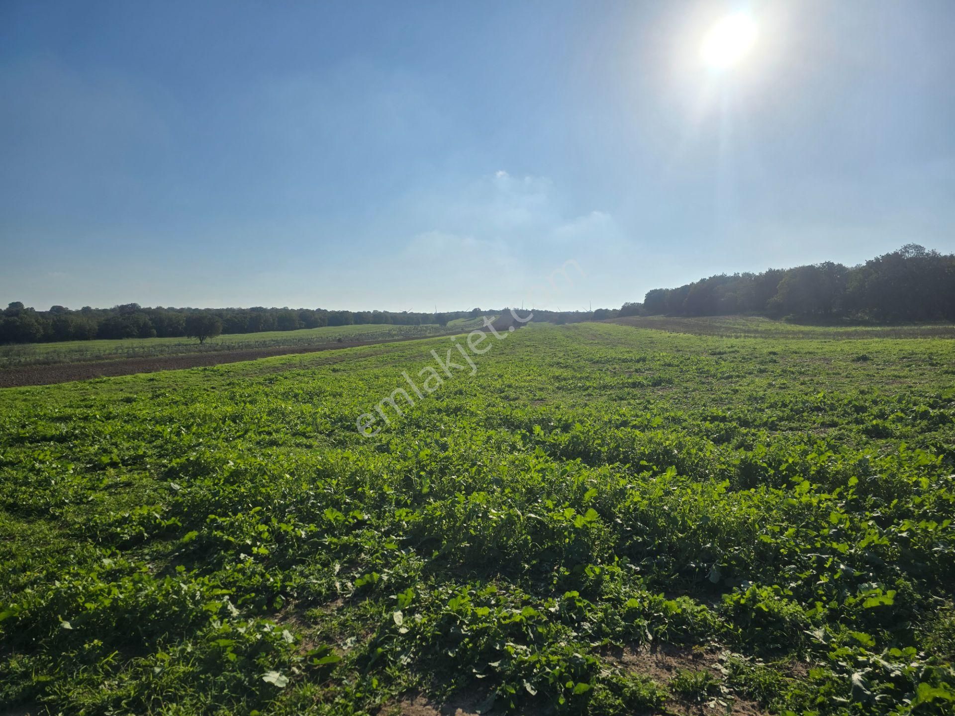 Han Emlak Otomotiv'den Ezine Mahmudiye Köyünde 11800 M2 Tarla - Görsel 9