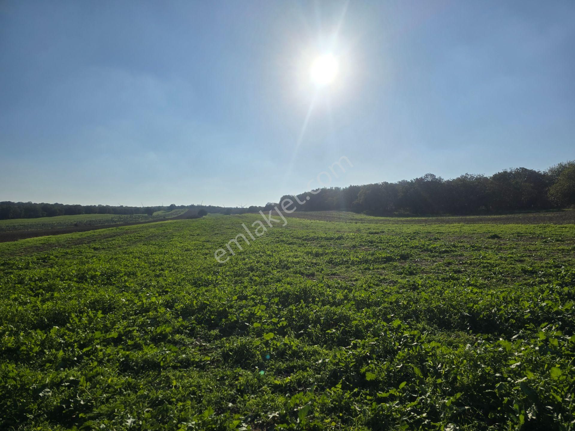 Han Emlak Otomotiv'den Ezine Mahmudiye Köyünde 11800 M2 Tarla - Görsel 6