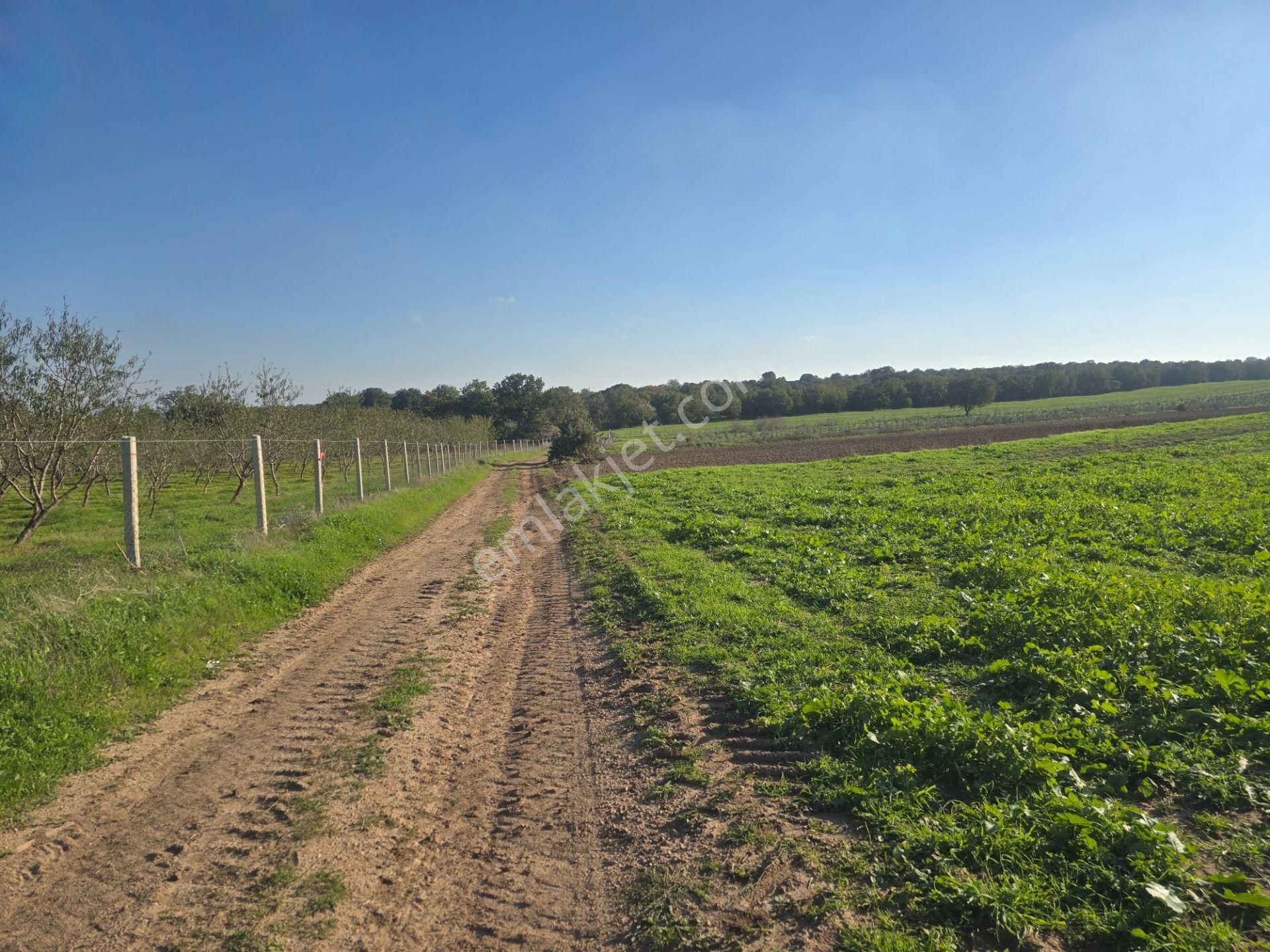 Han Emlak Otomotiv'den Ezine Mahmudiye Köyünde 11800 M2 Tarla - Görsel 8