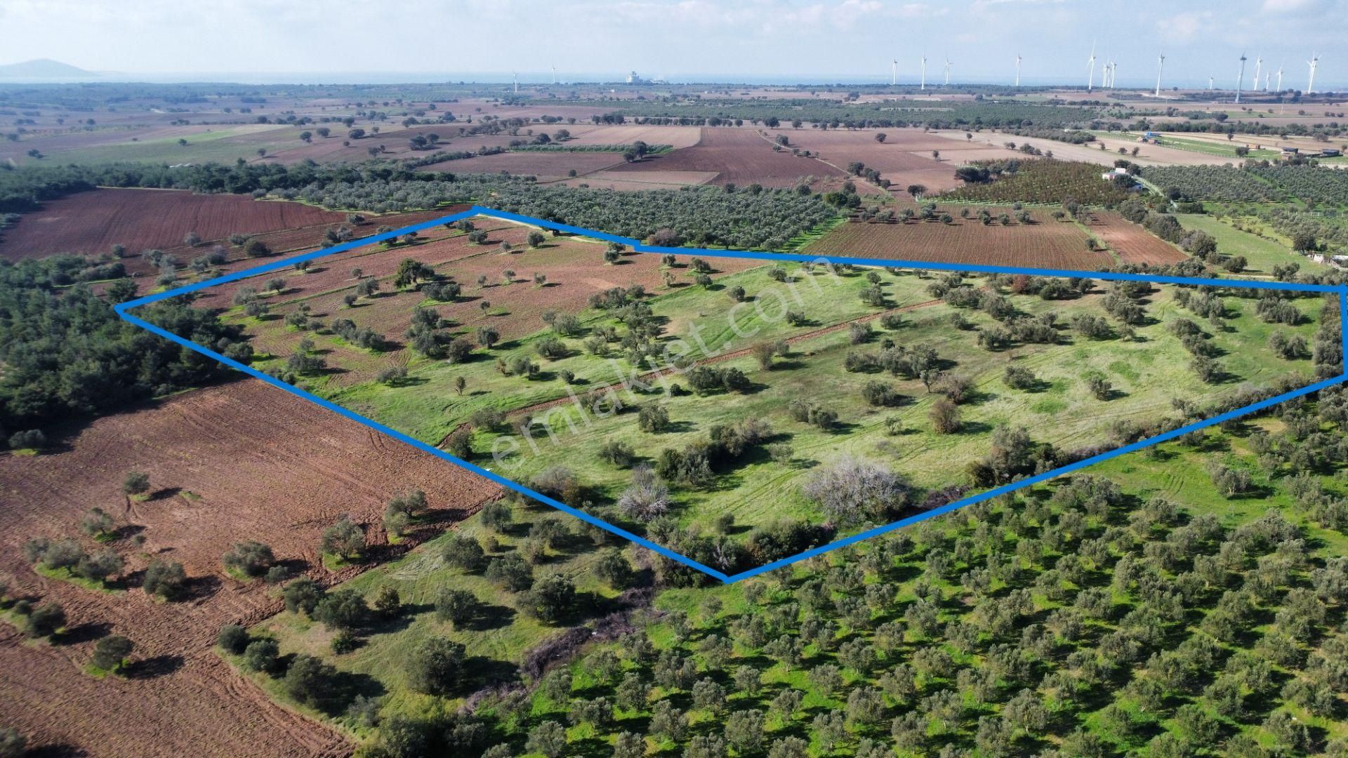 Ezine Üvecik Köyünde 50000 M2 Satılık Tarla Han Emlak'tan