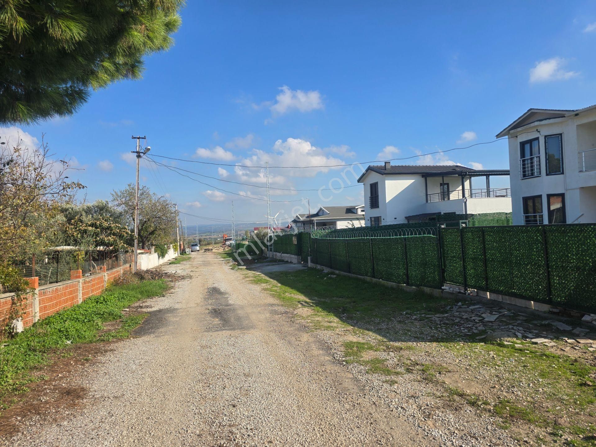 Ezine Üvecik Köyünde 50000 M2 Satılık Tarla Han Emlak'tan - Görsel 34