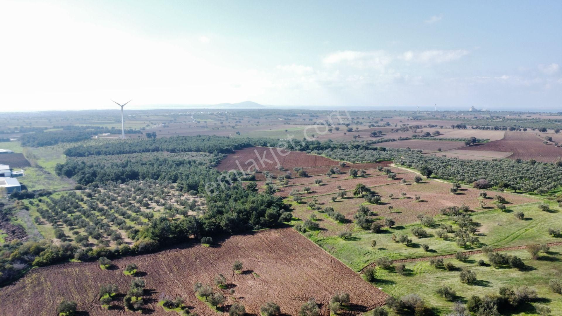 Ezine Üvecik Köyünde 50000 M2 Satılık Tarla Han Emlak'tan - Görsel 21