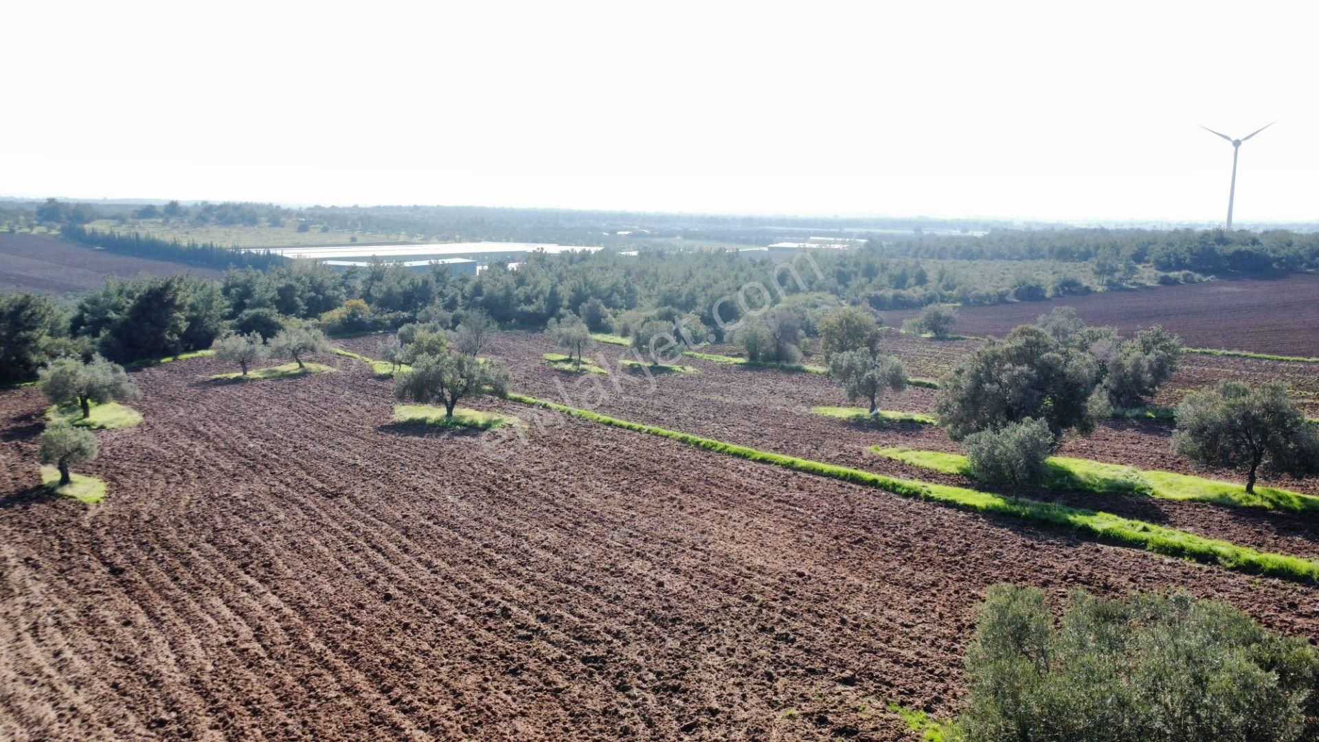 Ezine Üvecik Köyünde 50000 M2 Satılık Tarla Han Emlak'tan - Görsel 30