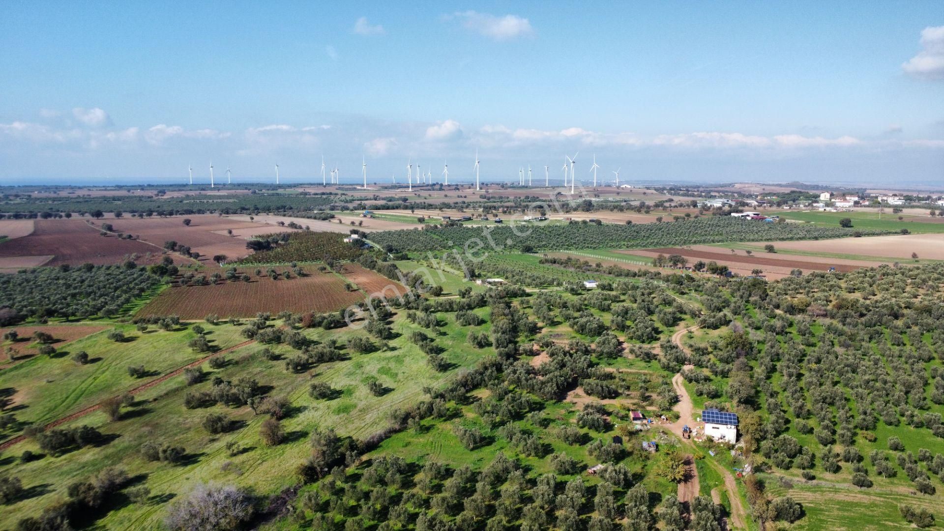 Ezine Üvecik Köyünde 50000 M2 Satılık Tarla Han Emlak'tan - Görsel 19