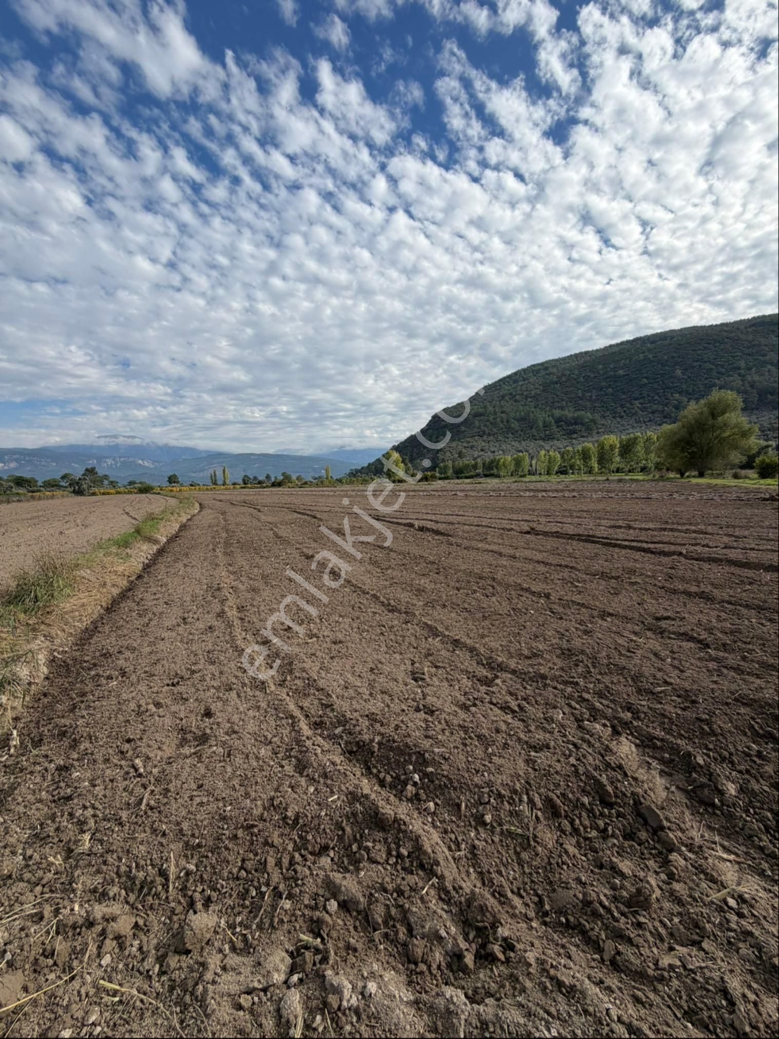 Muğla Seydikemer Çayan Köyünde 11 Dönüm Verimli Düz Tarla - Görsel 3