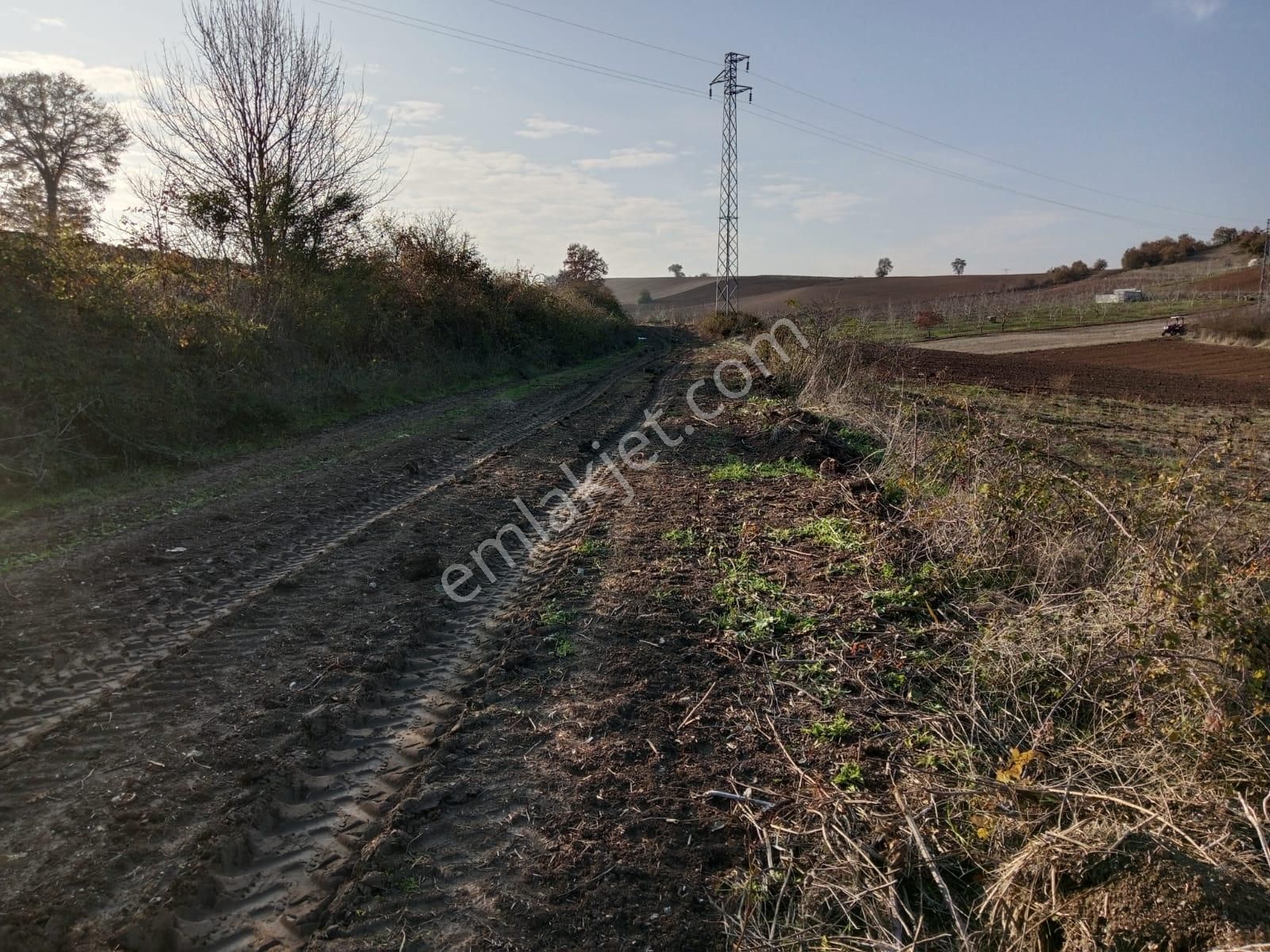 Yenişehir Günecede Kelepir Tarla - Görsel 2
