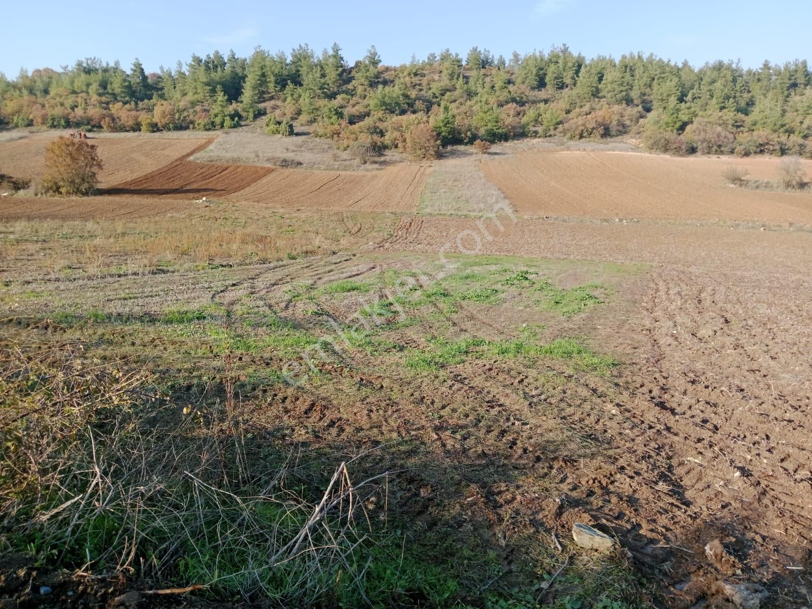 Yenişehir Günecede Kelepir Tarla - Görsel 5