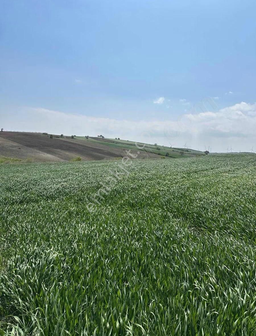 Karacabey Çamlıcada Yola 1 Parsel Müstakil Tapu - Görsel 4
