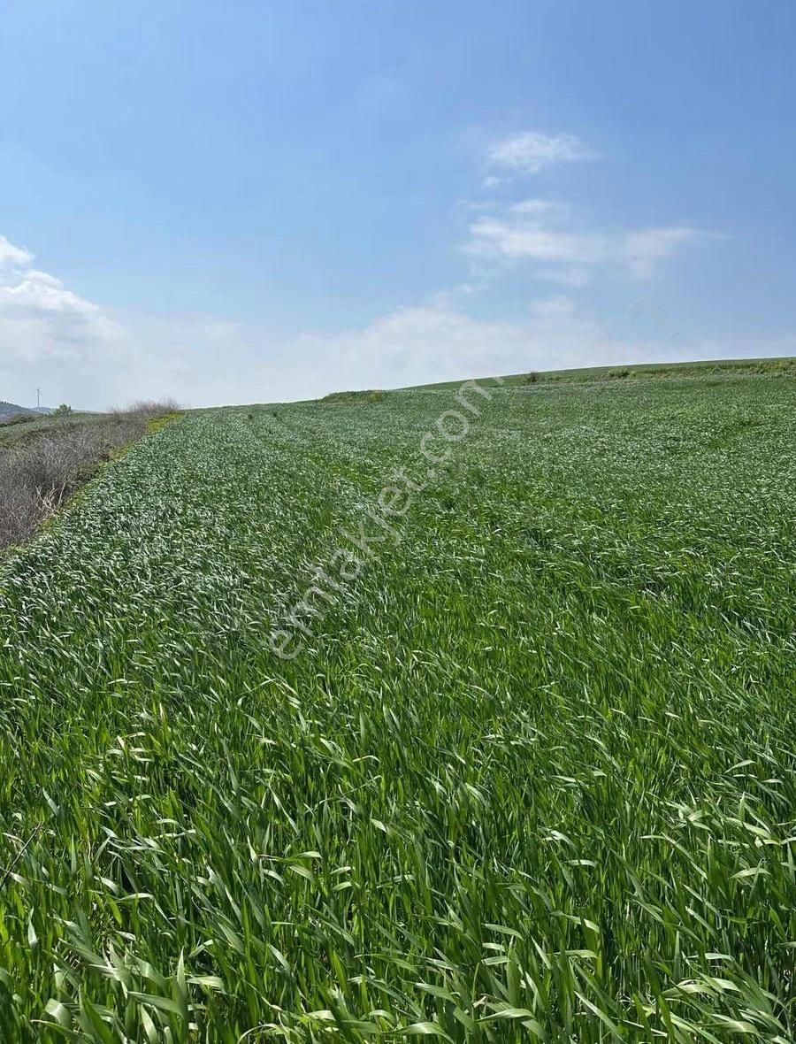 Karacabey Çamlıcada Yola 1 Parsel Müstakil Tapu