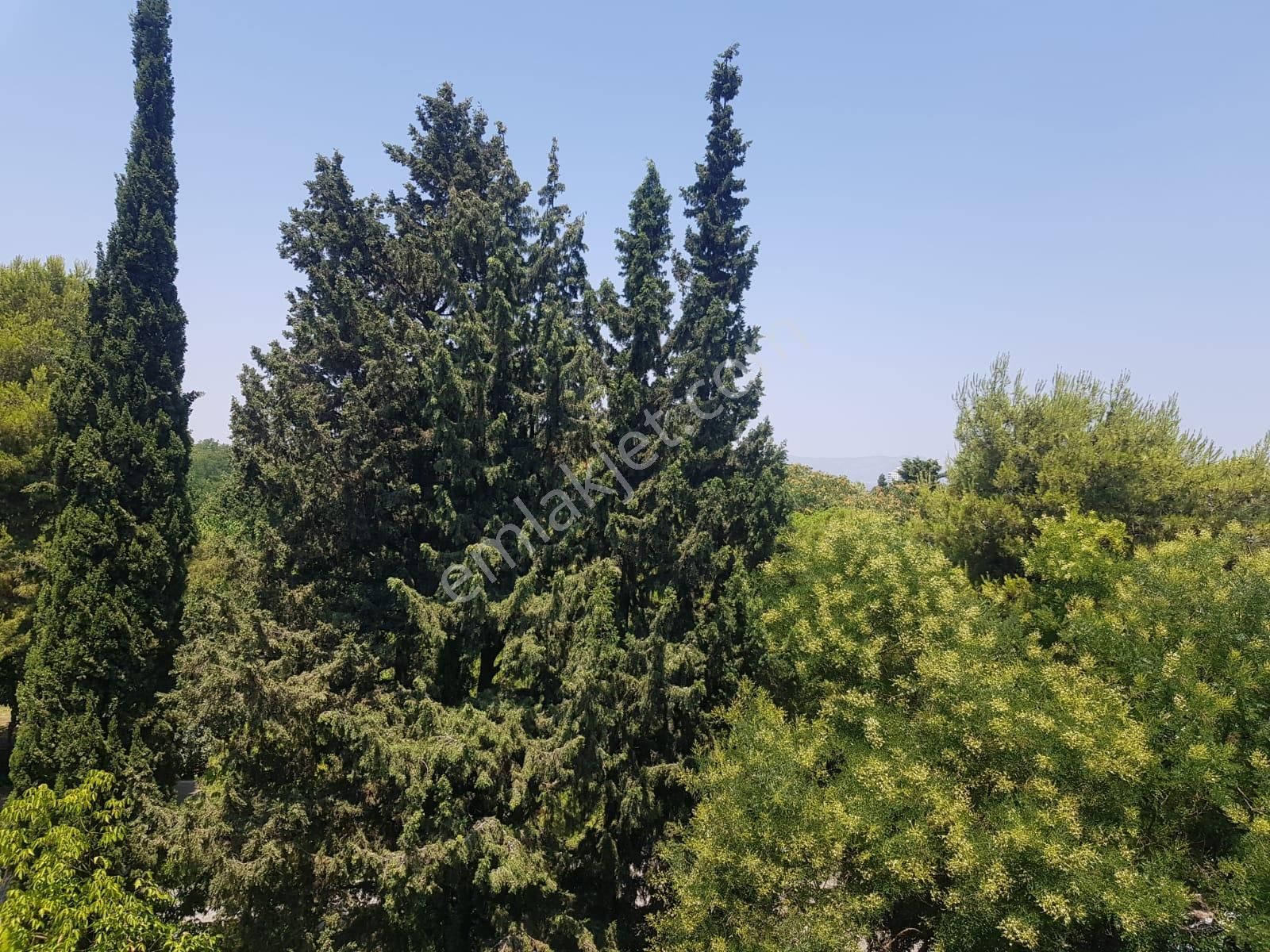 Kahramanlar Fuar Karşısı Satılık 2+1 Daire - Görsel 18