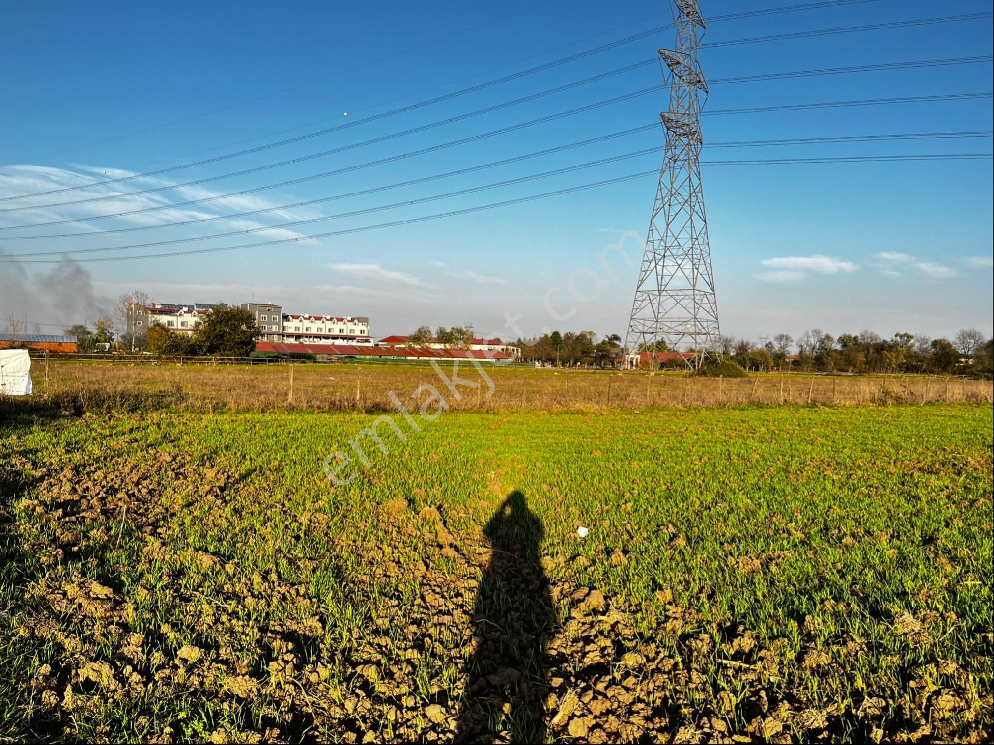 Tekkeköy Köprübsşında Satılıktarla