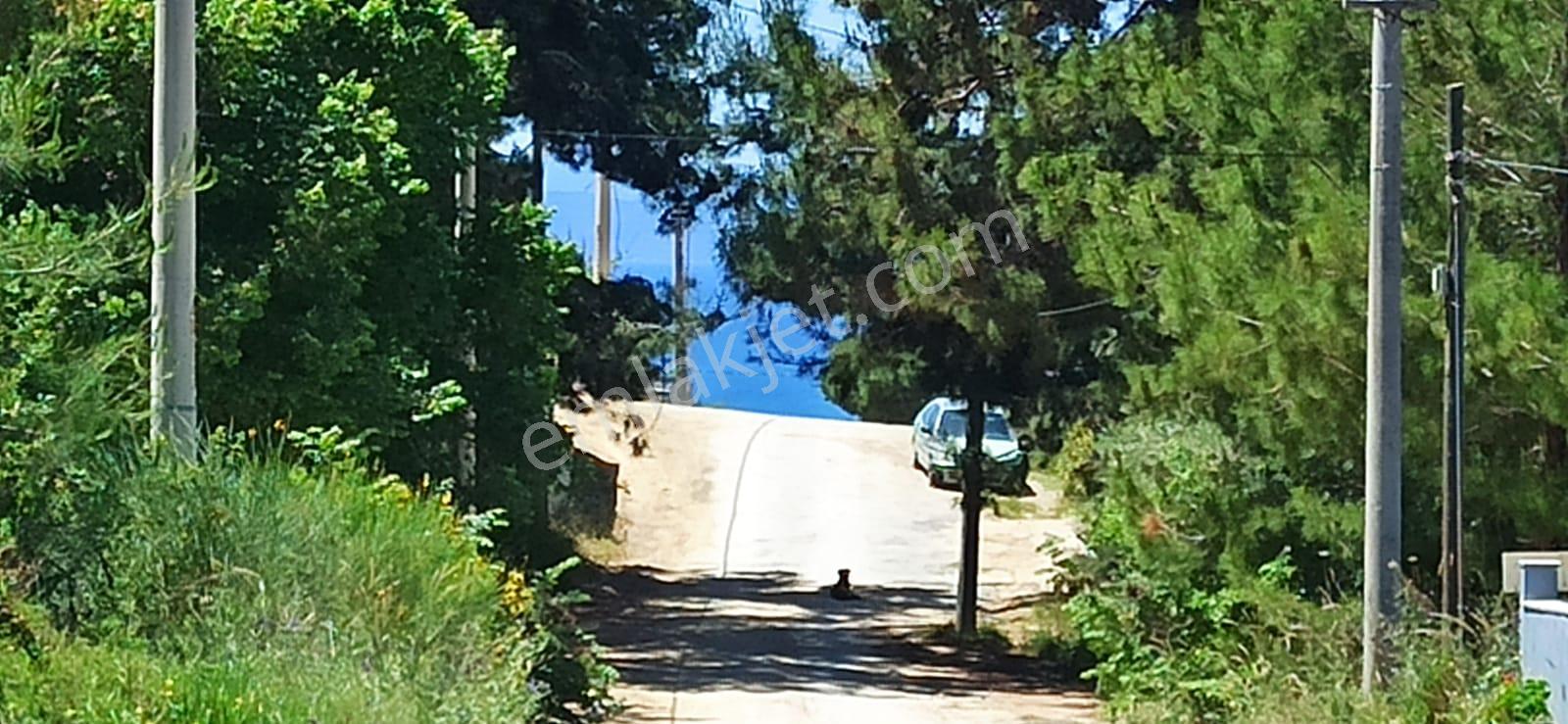 Kuşadası Soğucak Tek Müstakil Arsa Deniz Manzaralı. - Görsel 6