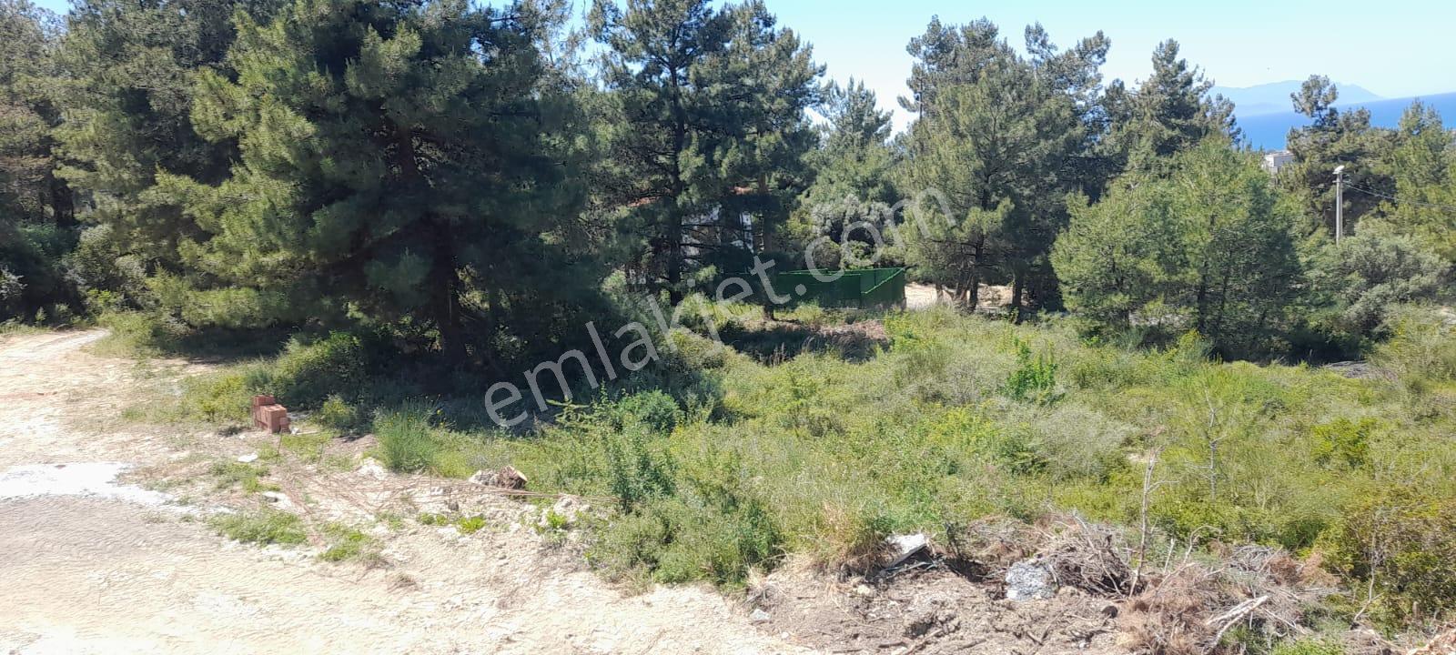 Kuşadası Soğucak Tek Müstakil Arsa Deniz Manzaralı. - Görsel 5