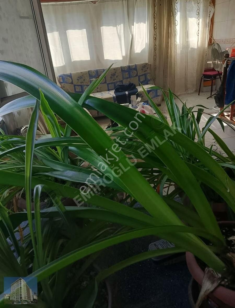 Yedikule Caddesi'nde 3 Katlı 240 Mt Komple Bina 70.000 - Görsel 12