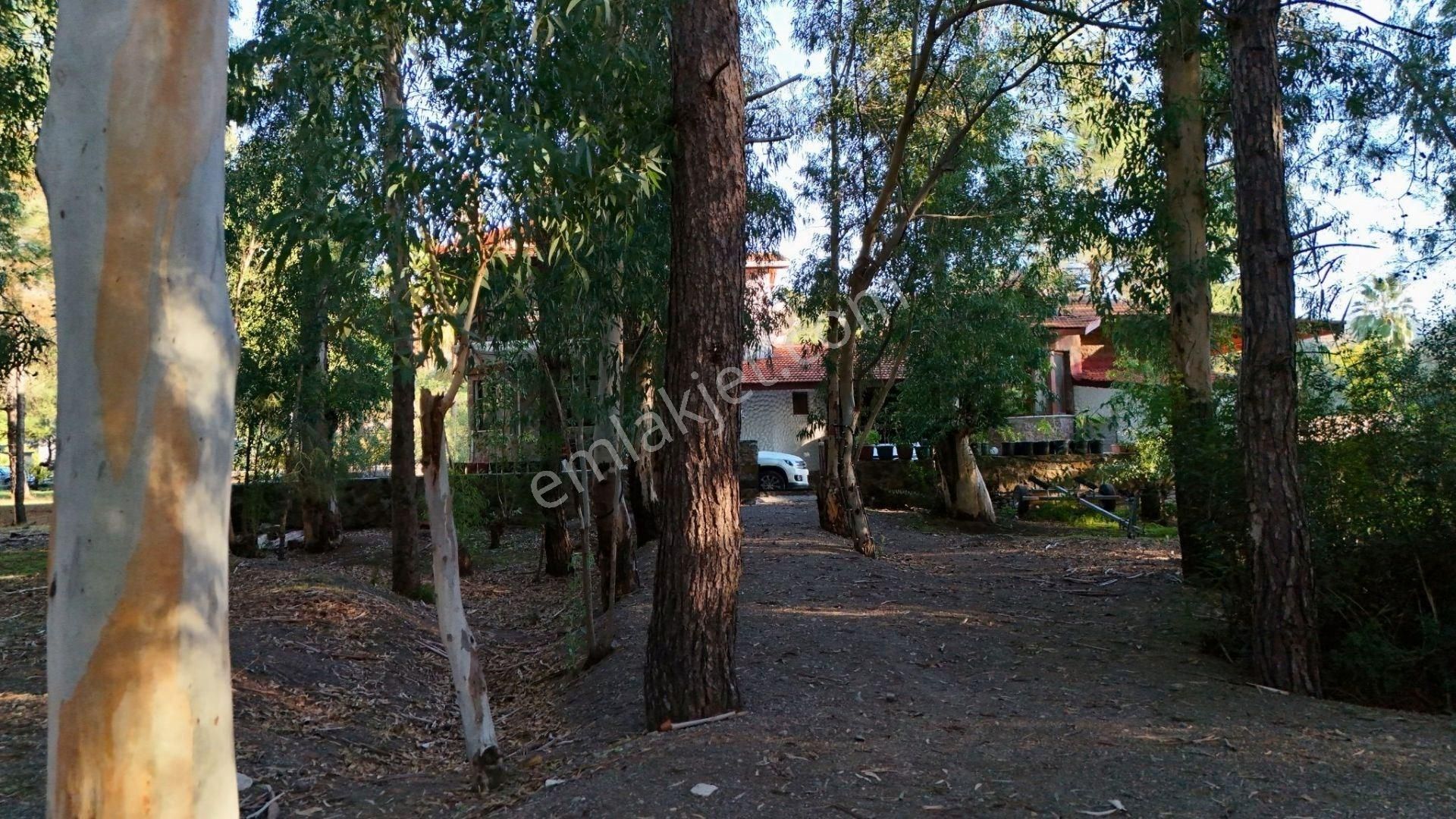 Hisarönü Özel İskeleli 3+1 Taş Villa - Turizm Yatırım Fırsatı - Görsel 22